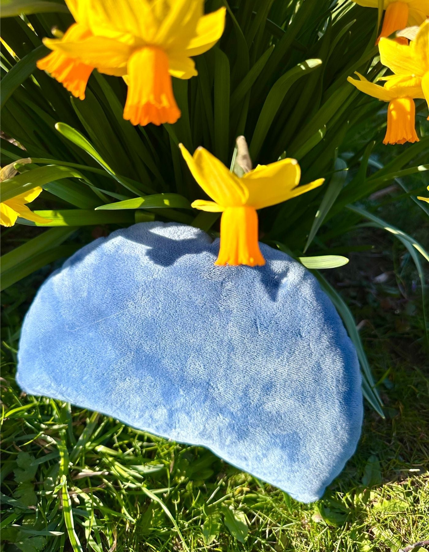 Grand coussin - ADORABLE RATON LAVEUR - 28x19cm