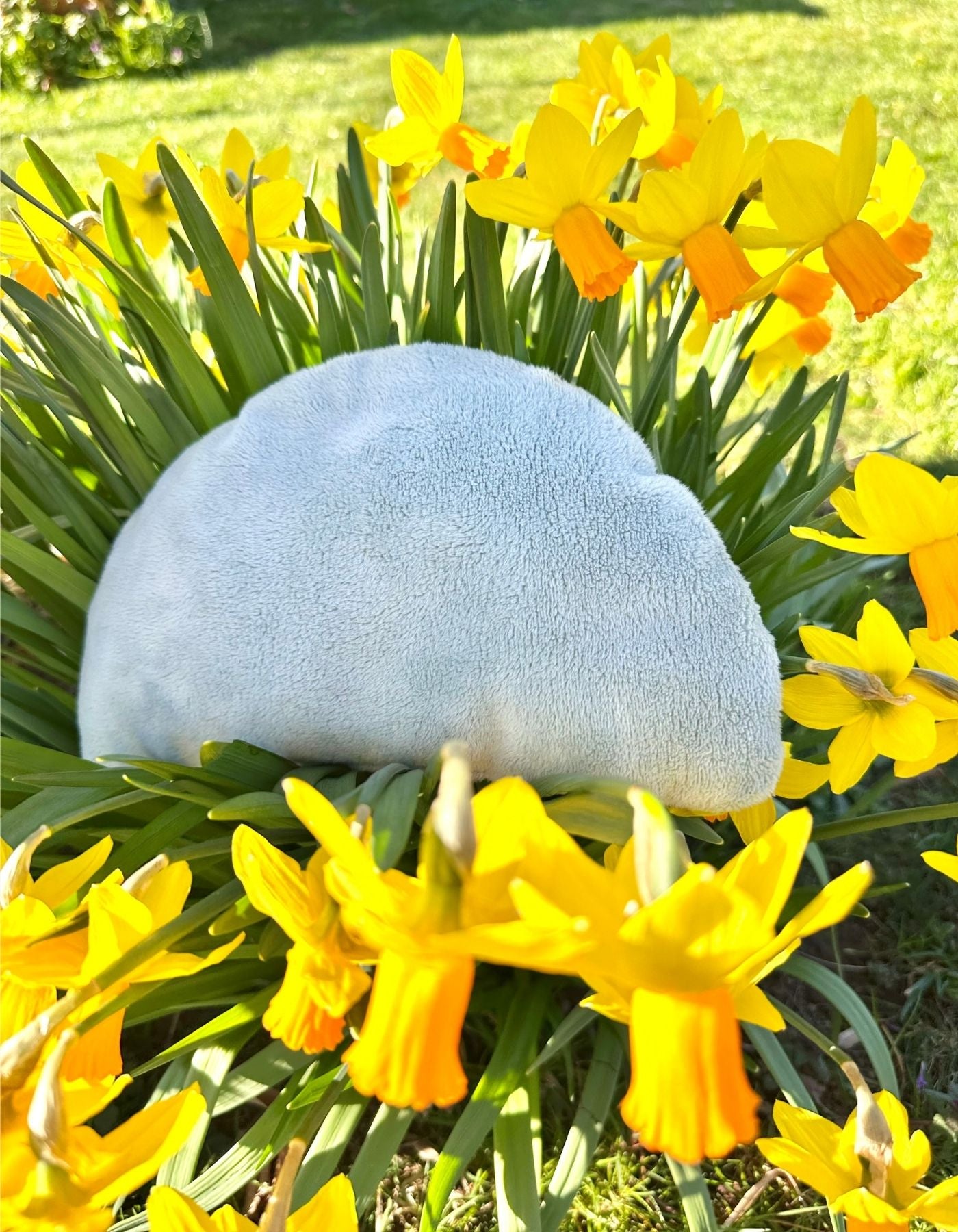 Petit coussin - ADORABLES HIPPOCAMPES