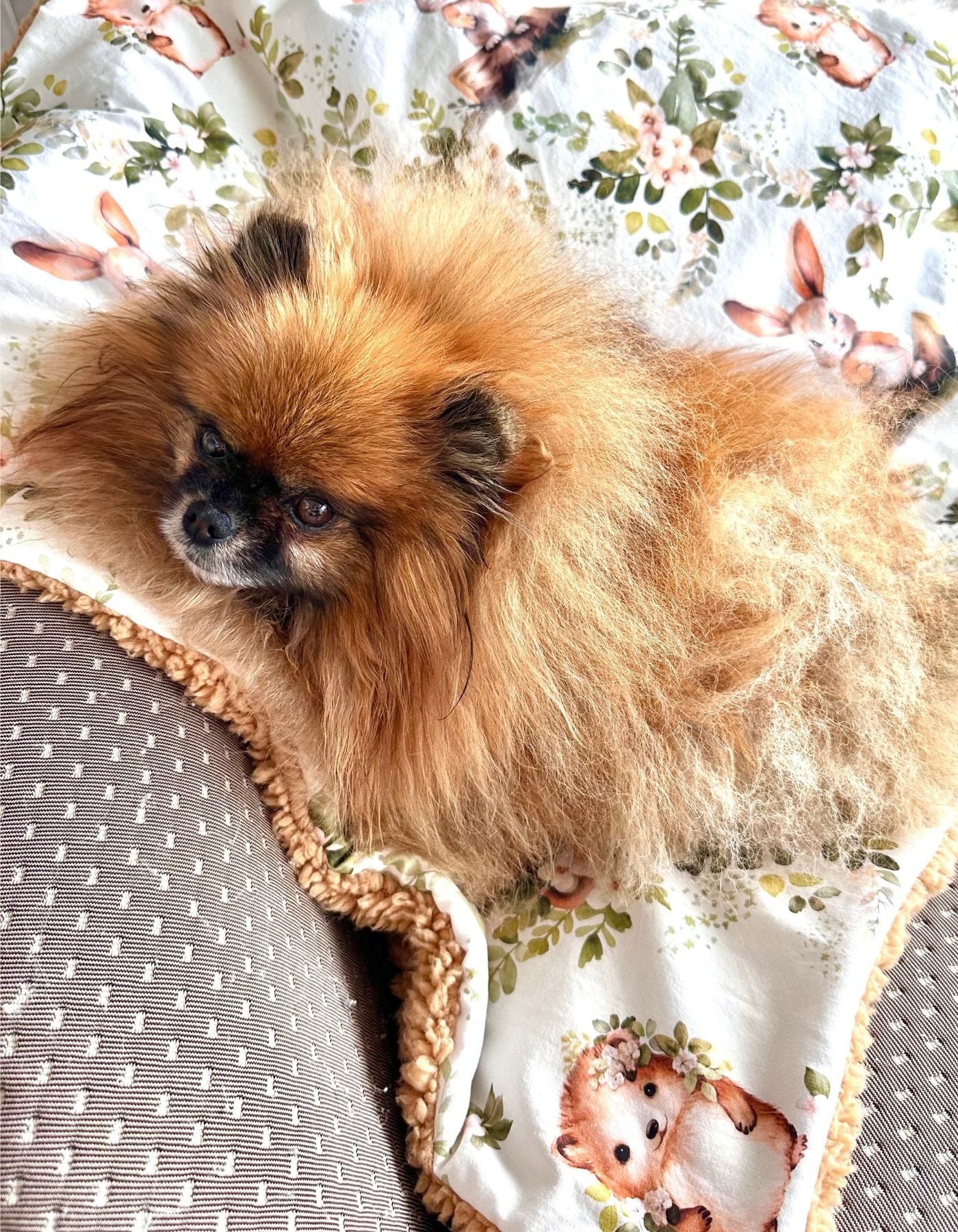 COMMANDE PERSONALISEE - Couverture - DANS UN JARDIN ANGLAIS - 70x70cm