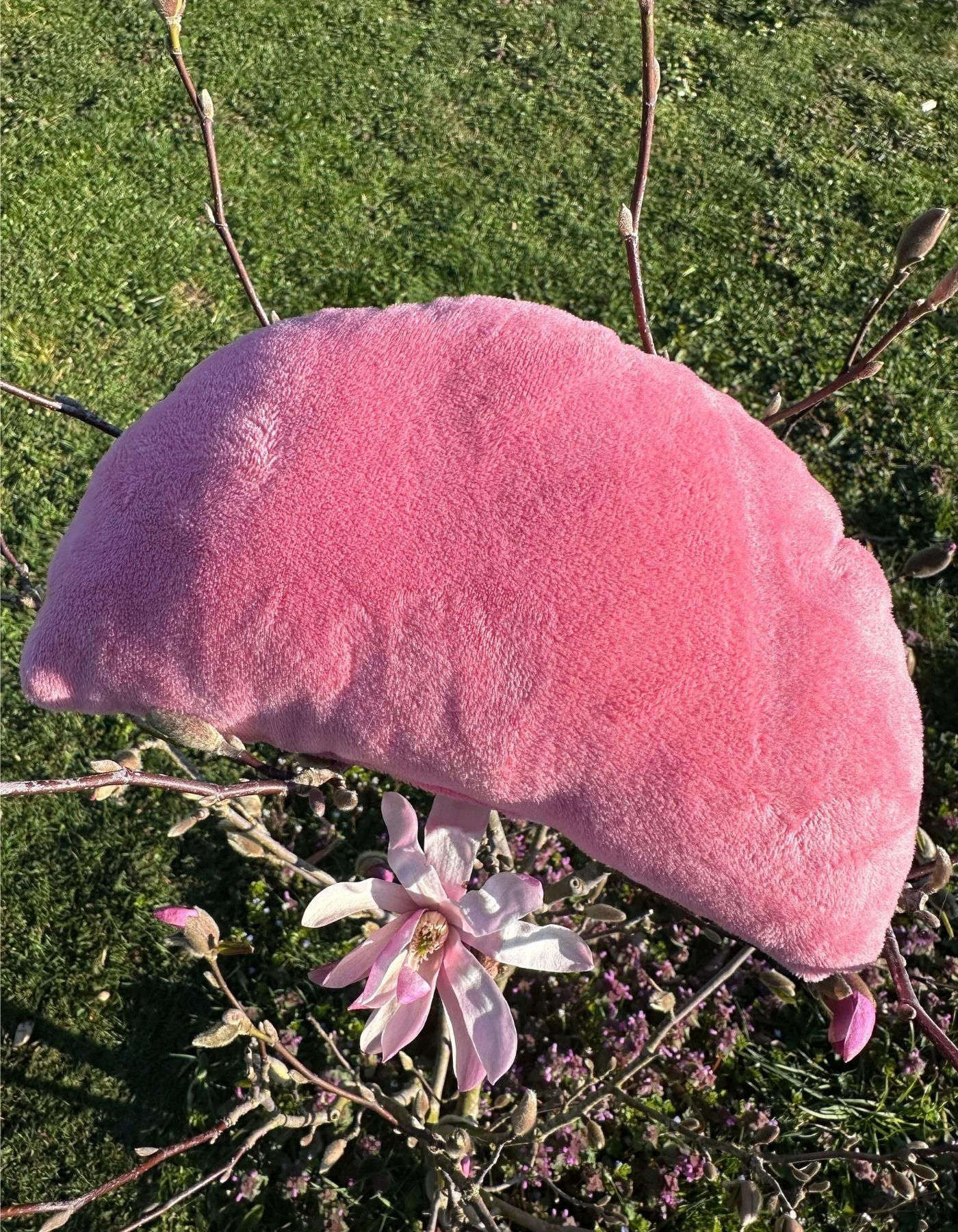 Petit coussin - FLAMANTS ROSES ET NENUPHARS -25x15cm