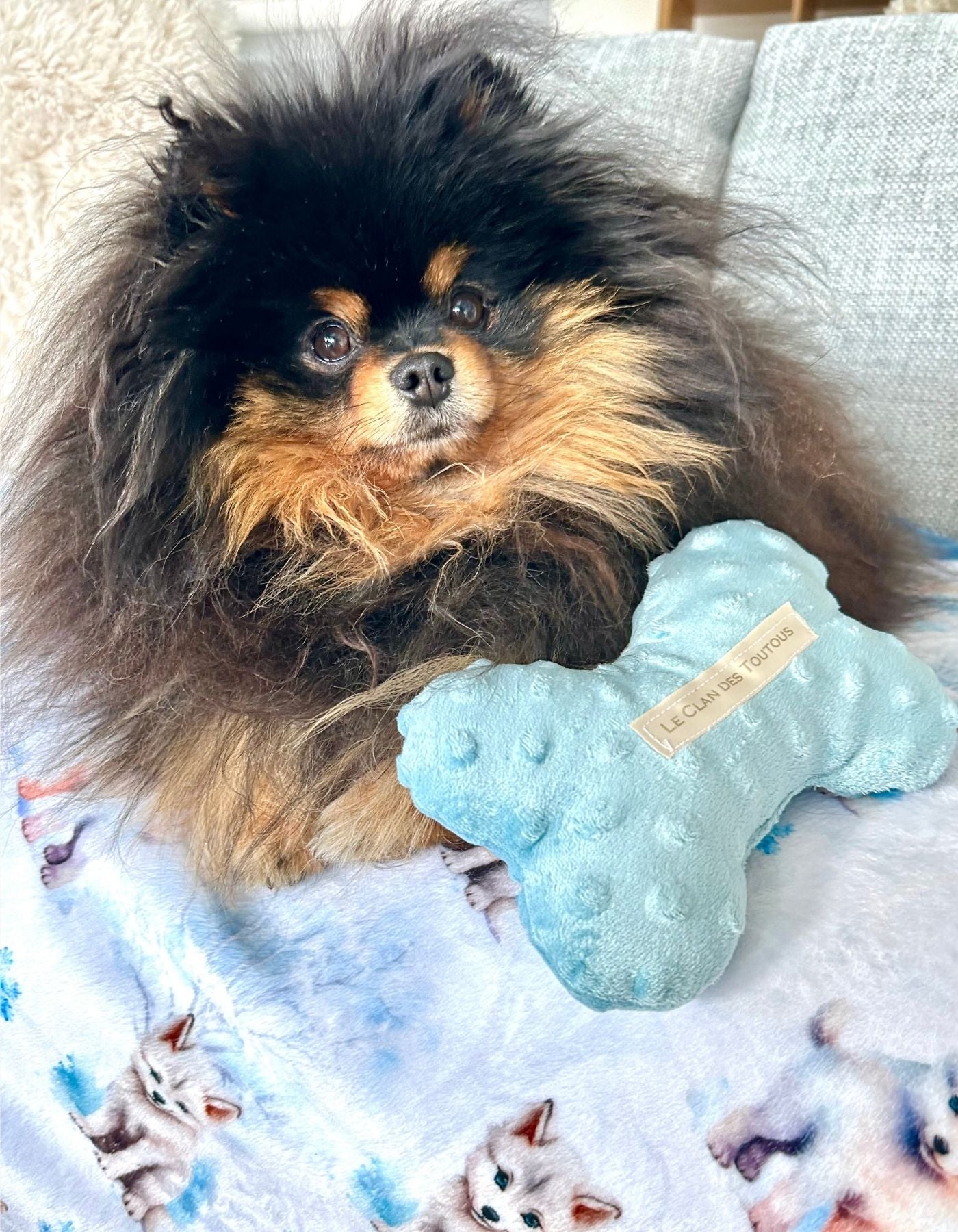 Jouet Nonos - bleu ciel à pois