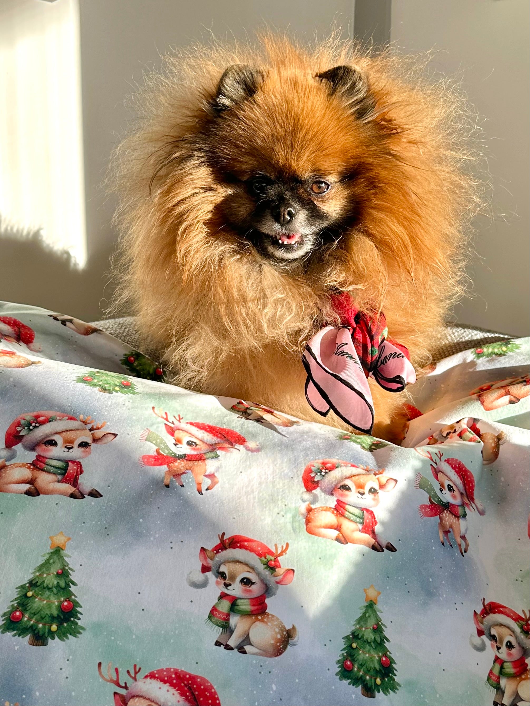 Couverture LE NOEL DES PETITS CHEVREUILS – 78x68 cm