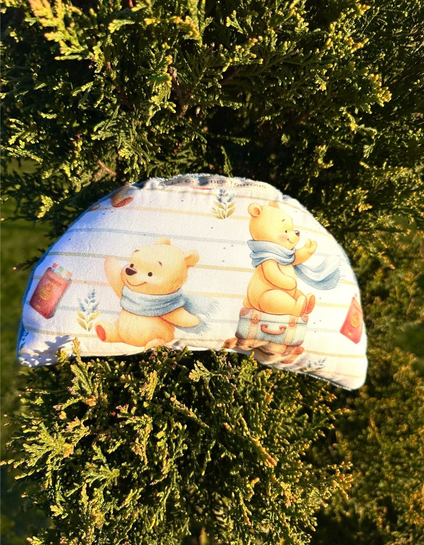Petit coussin - LE VOYAGE DE TEDDY BEAR - 25x15cm