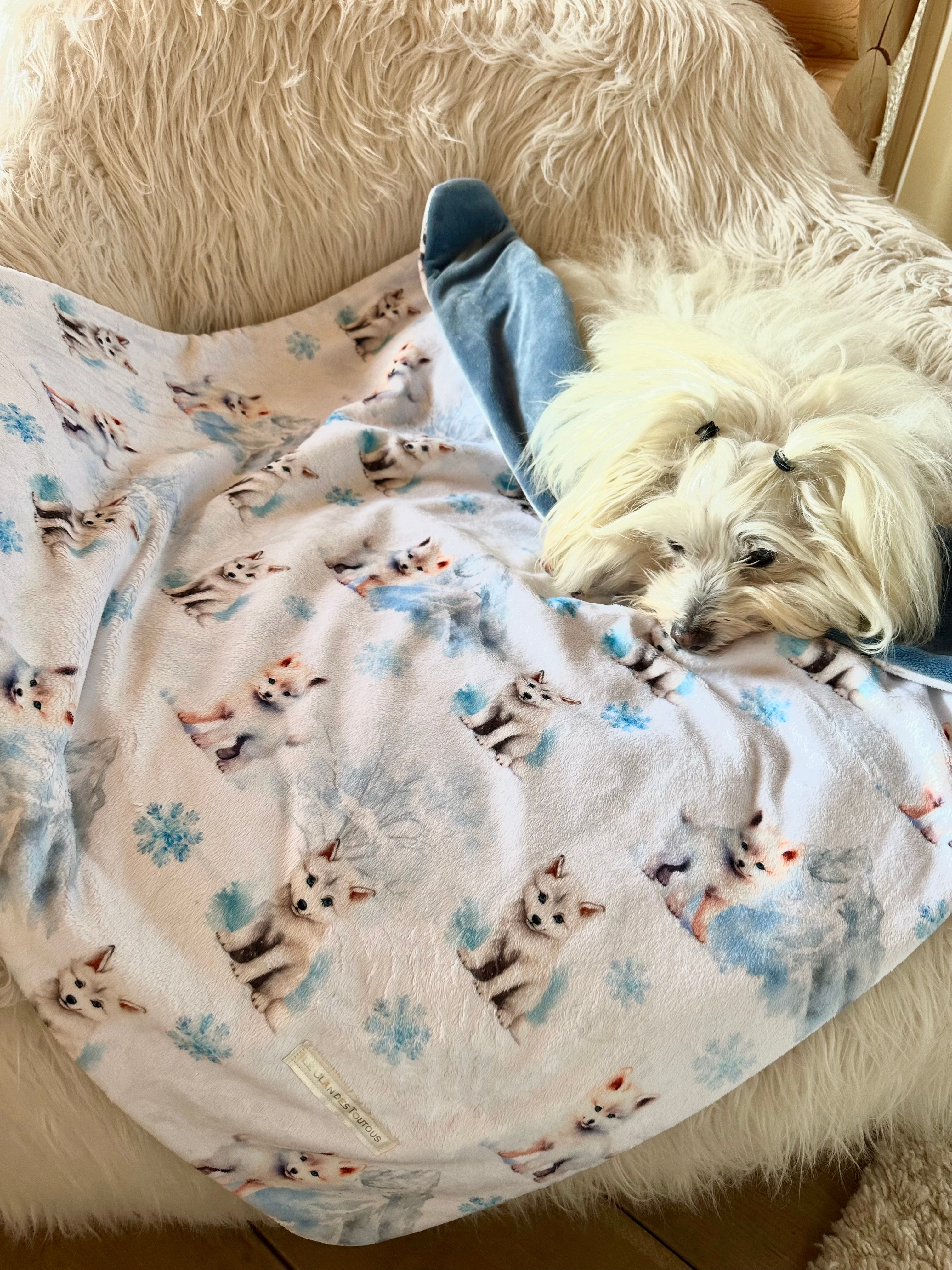 Couverture RENARD POLAIRE ET LA MONTAGE ENNEIGEE - 78x79cm