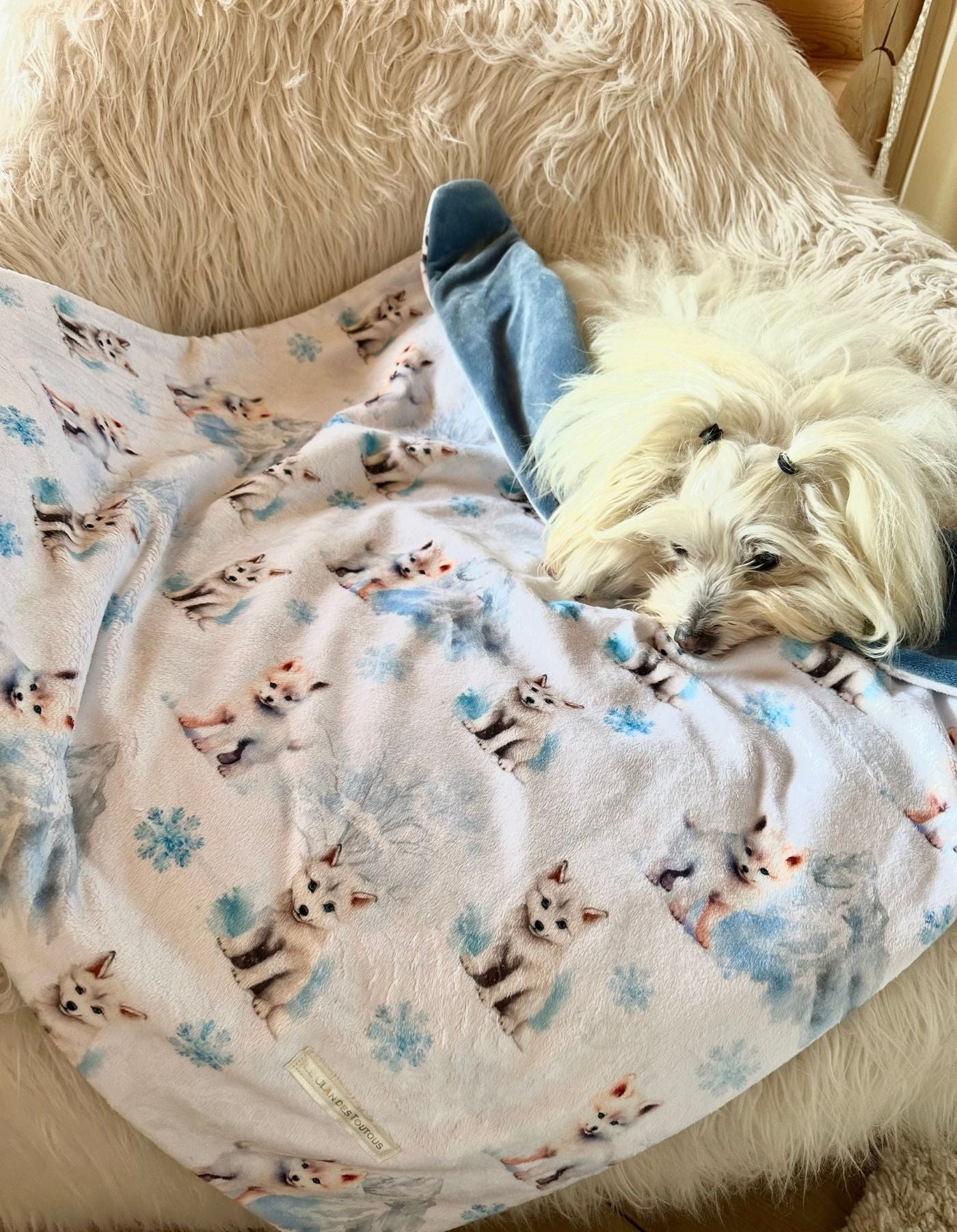 Couverture - RENARD POLAIRE ET LA MONTAGE ENNEIGEE - 78x79cm