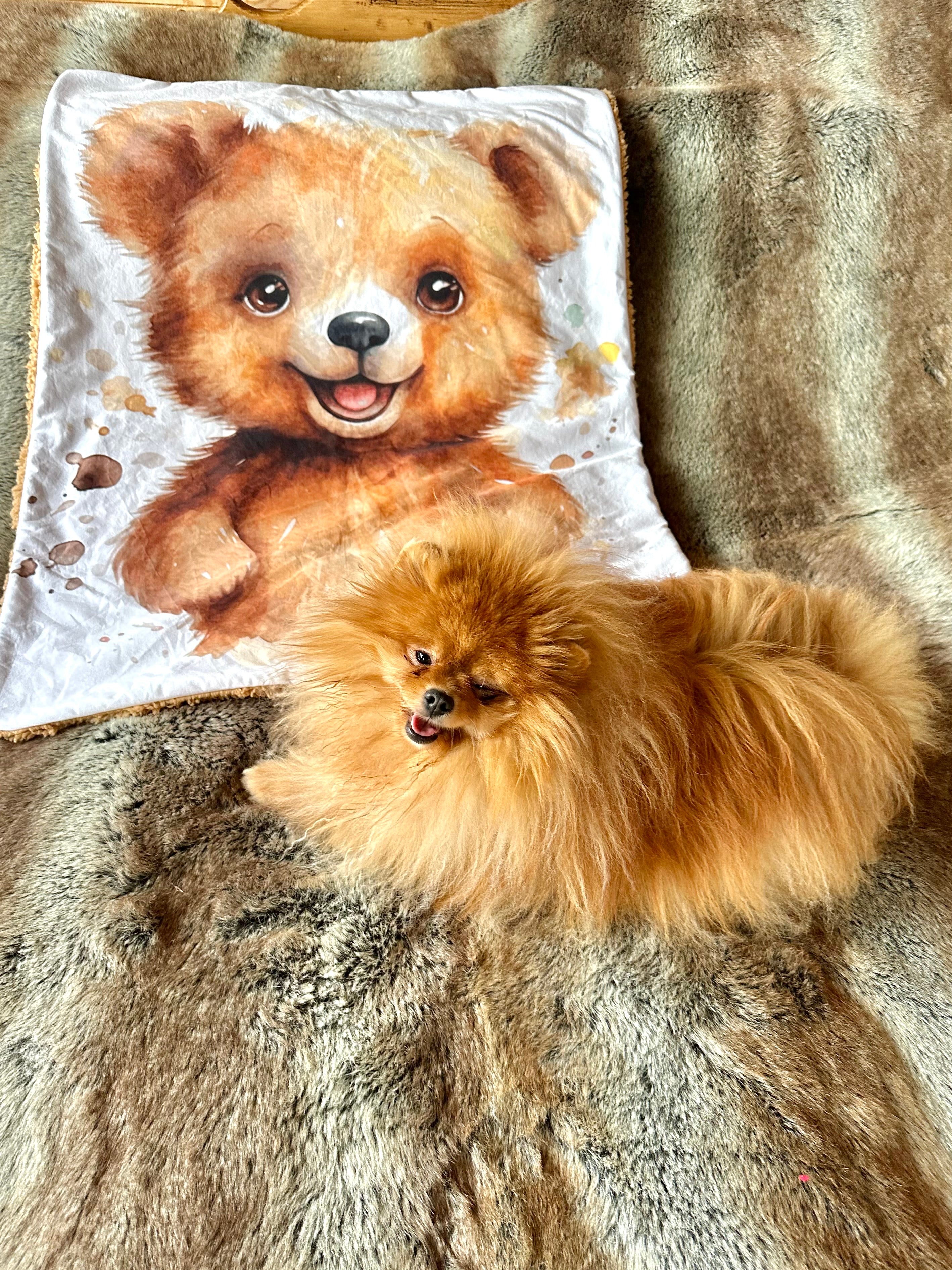 Plaid TEDDY BEAR - 94x72cm