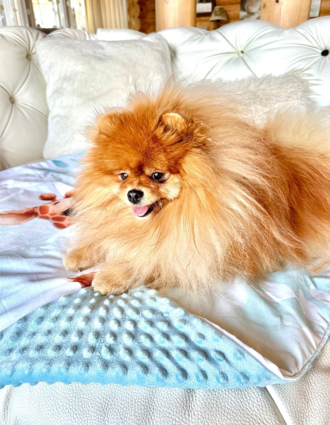 Plaid - UN ADORABLE GIRAFON - 90x70cm