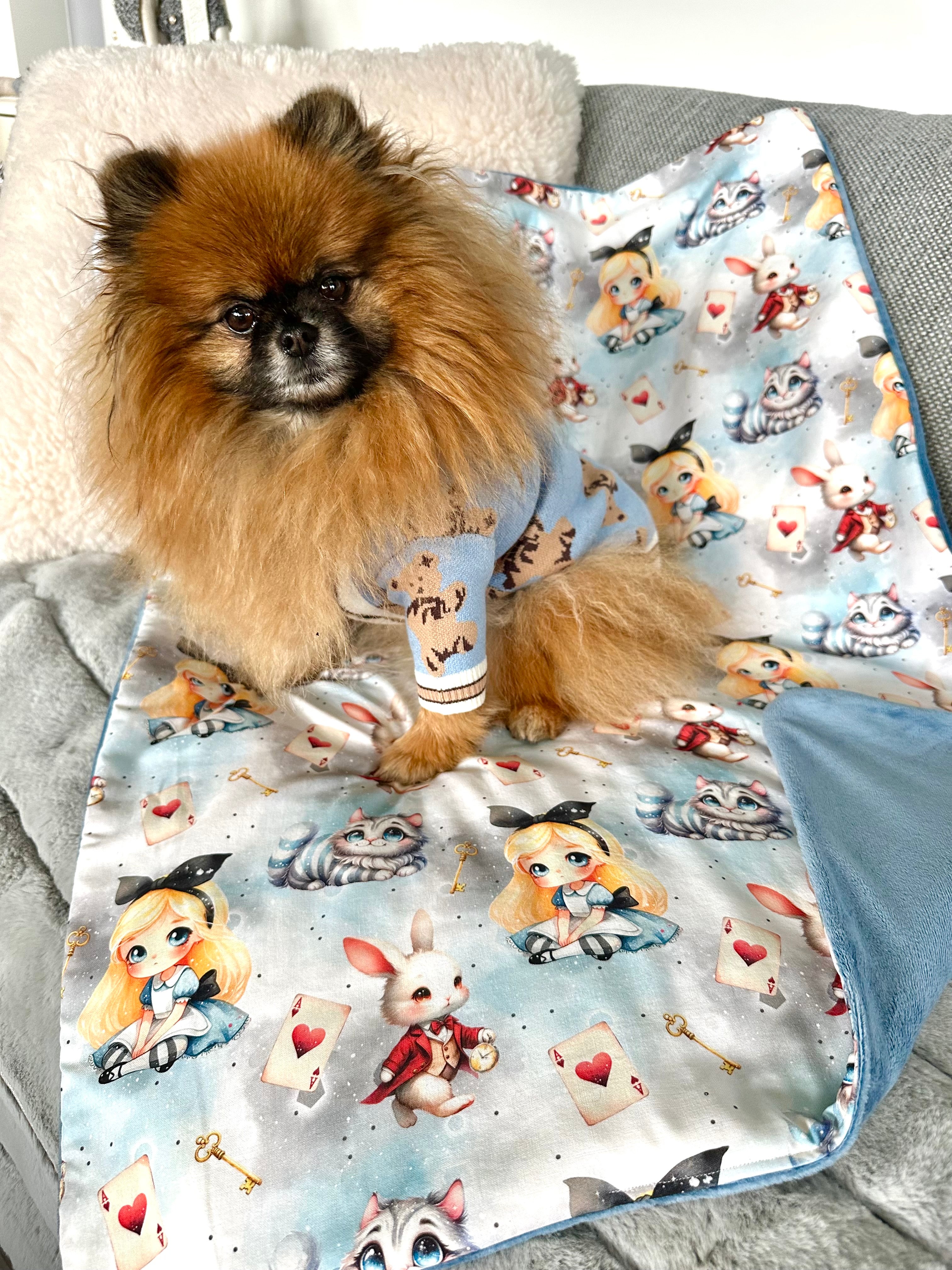 Couverture ALICE AU PAYS MERVEILLES - 80x60cm