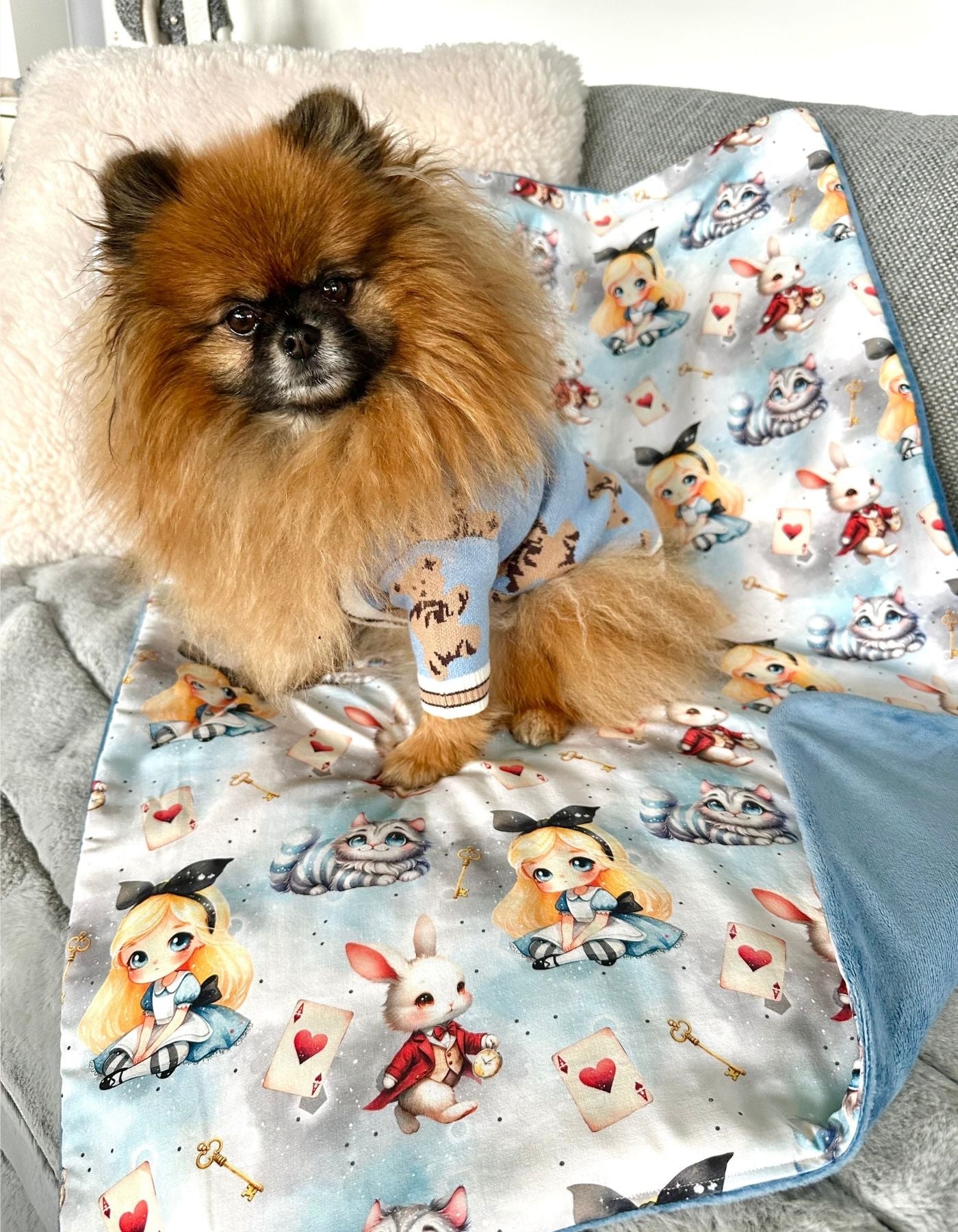 Couverture - ALICE AU PAYS MERVEILLES - 80x60cm