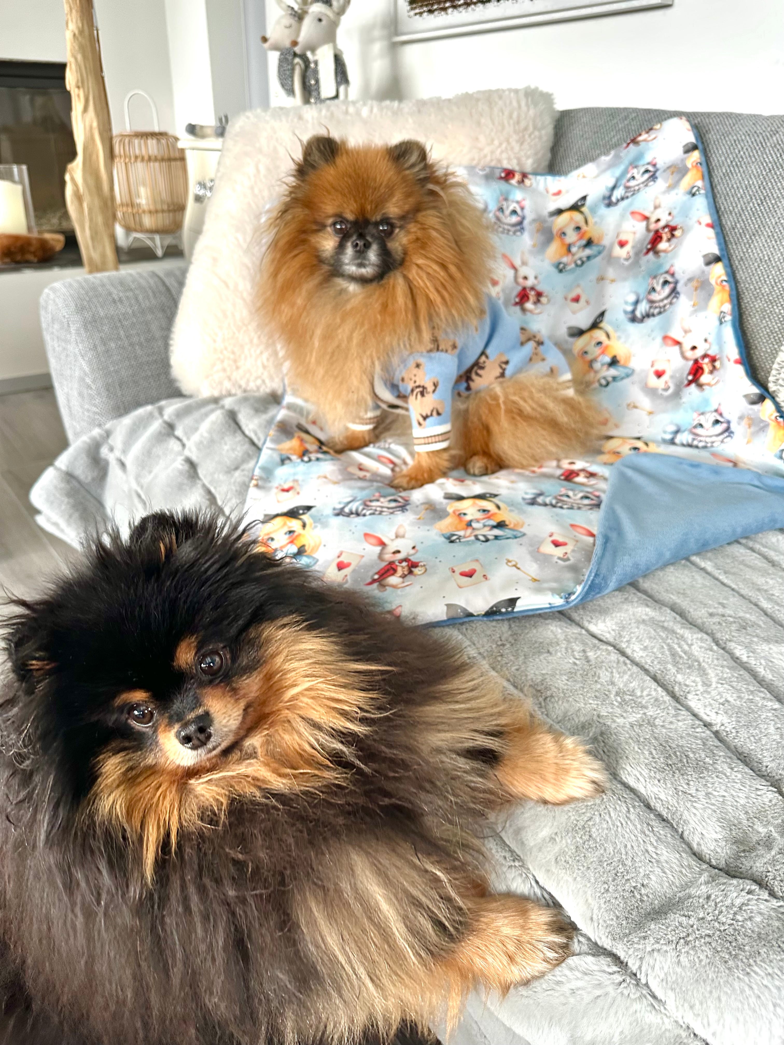 Couverture ALICE AU PAYS MERVEILLES - 80x60cm