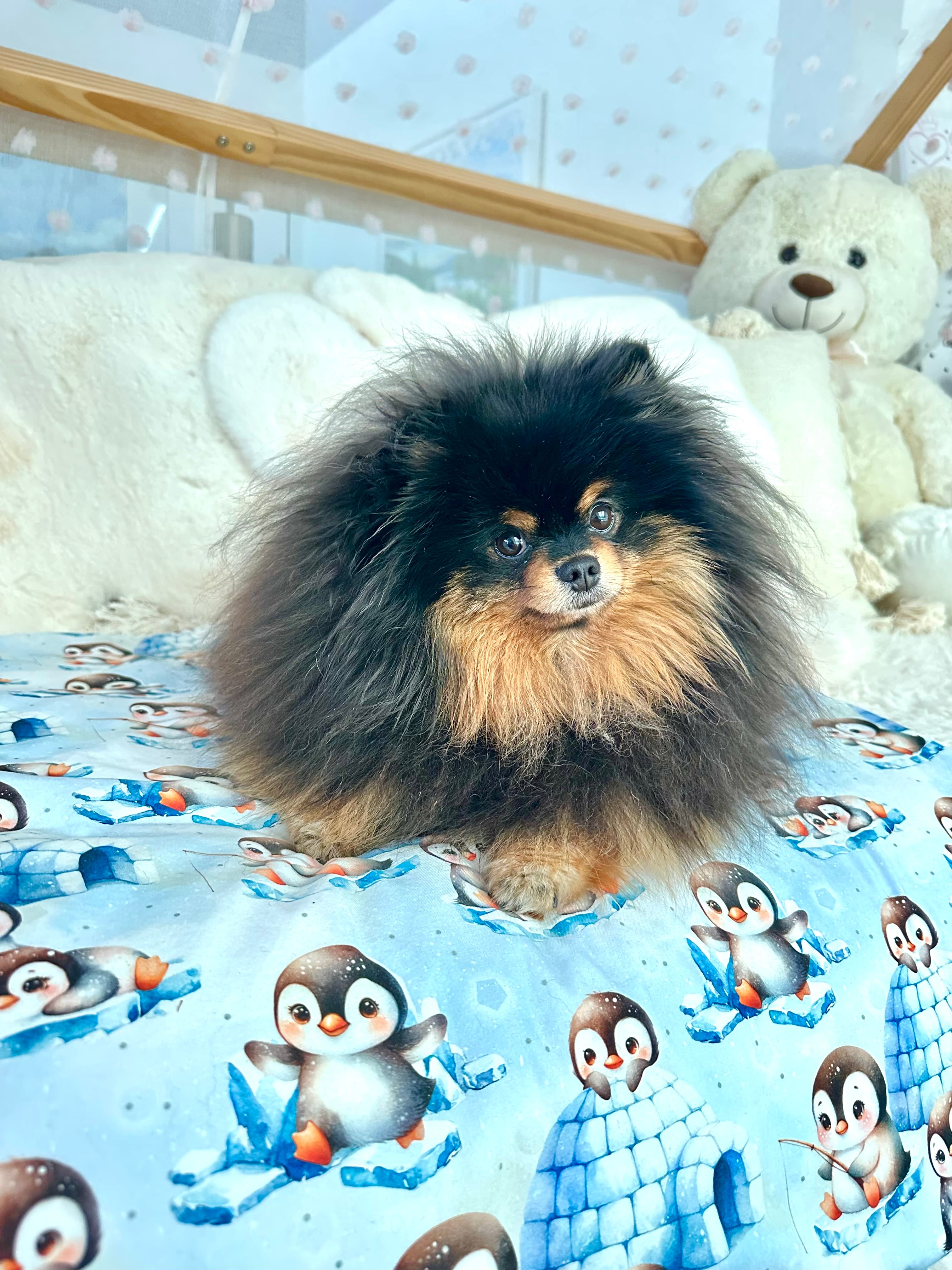 Couverture LES PINGOUINS SUR LA BANQUISE 69x60