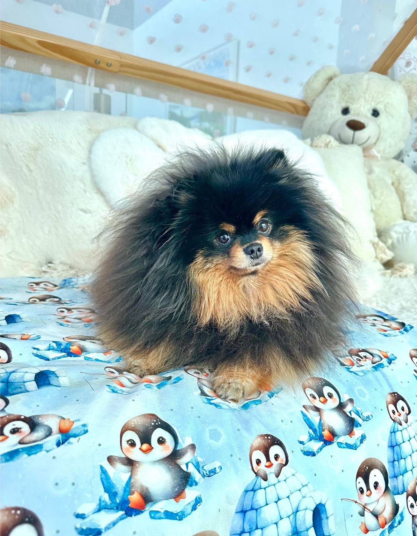 Couverture - LES PINGOUINS SUR LA BANQUISE 69x60