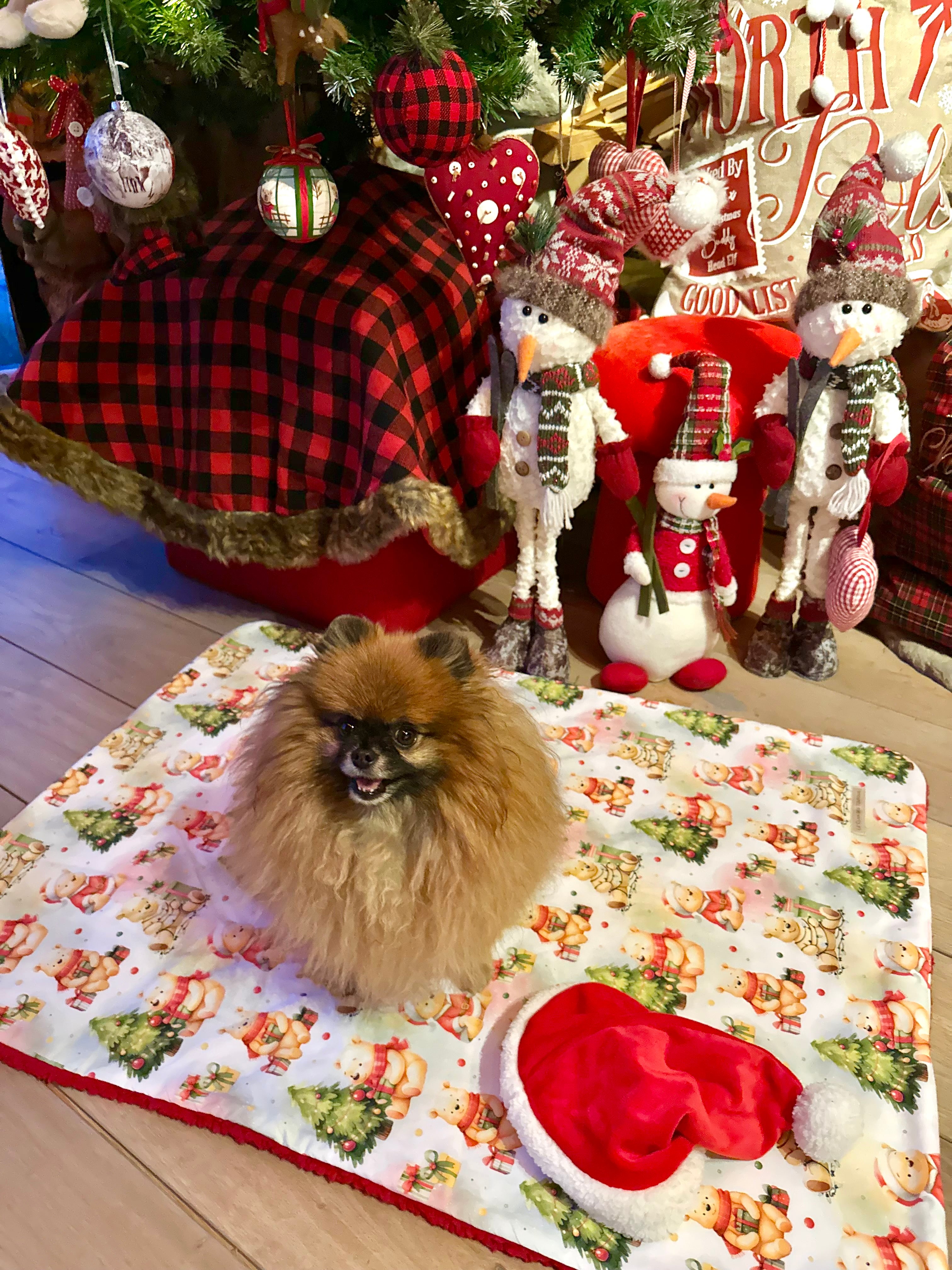 Couverture TEDDY BEAR FETE NOEL - 65x90cm