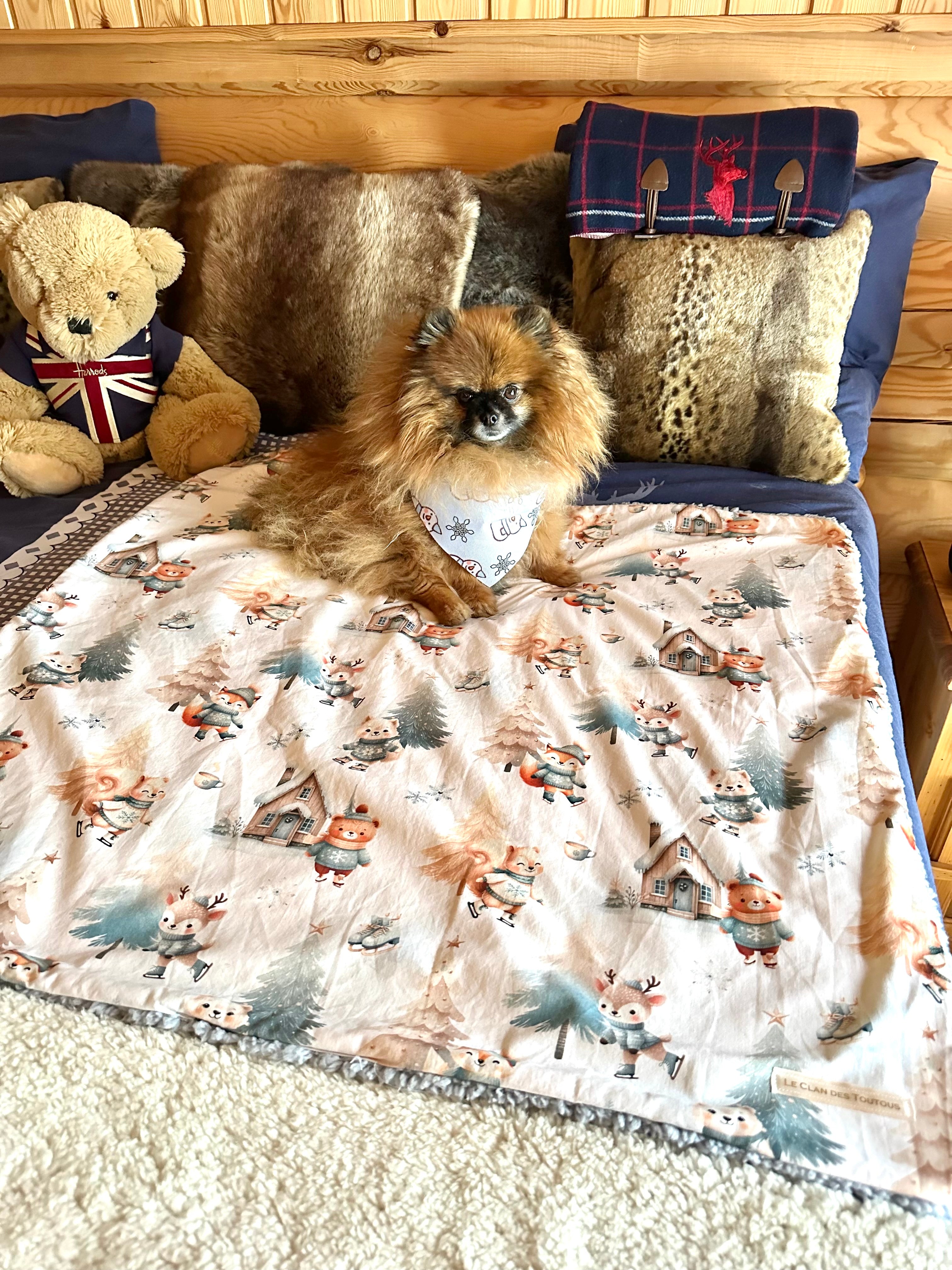 Couverture JOUR DE PATINAGE - 80x78cm