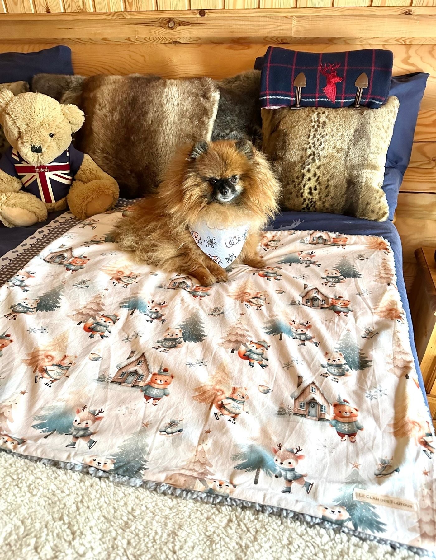 Couverture - JOUR DE PATINAGE - 80x78cm