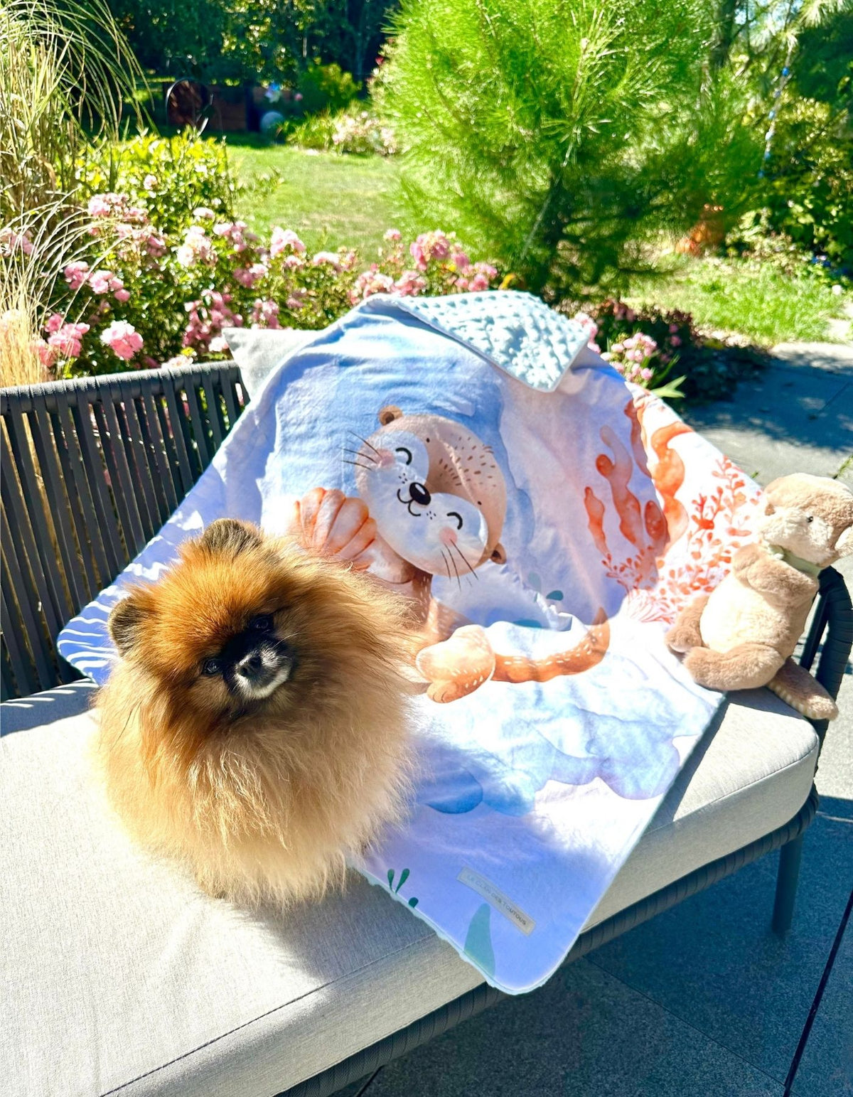 Plaid - LA PETITE LOUTRE ET LE ROYAUME DES EAUX ENCHANTEES - 70x92cm