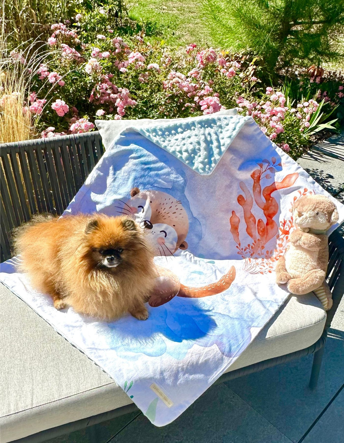 Plaid - LA PETITE LOUTRE ET LE ROYAUME DES EAUX ENCHANTEES - 70x92cm