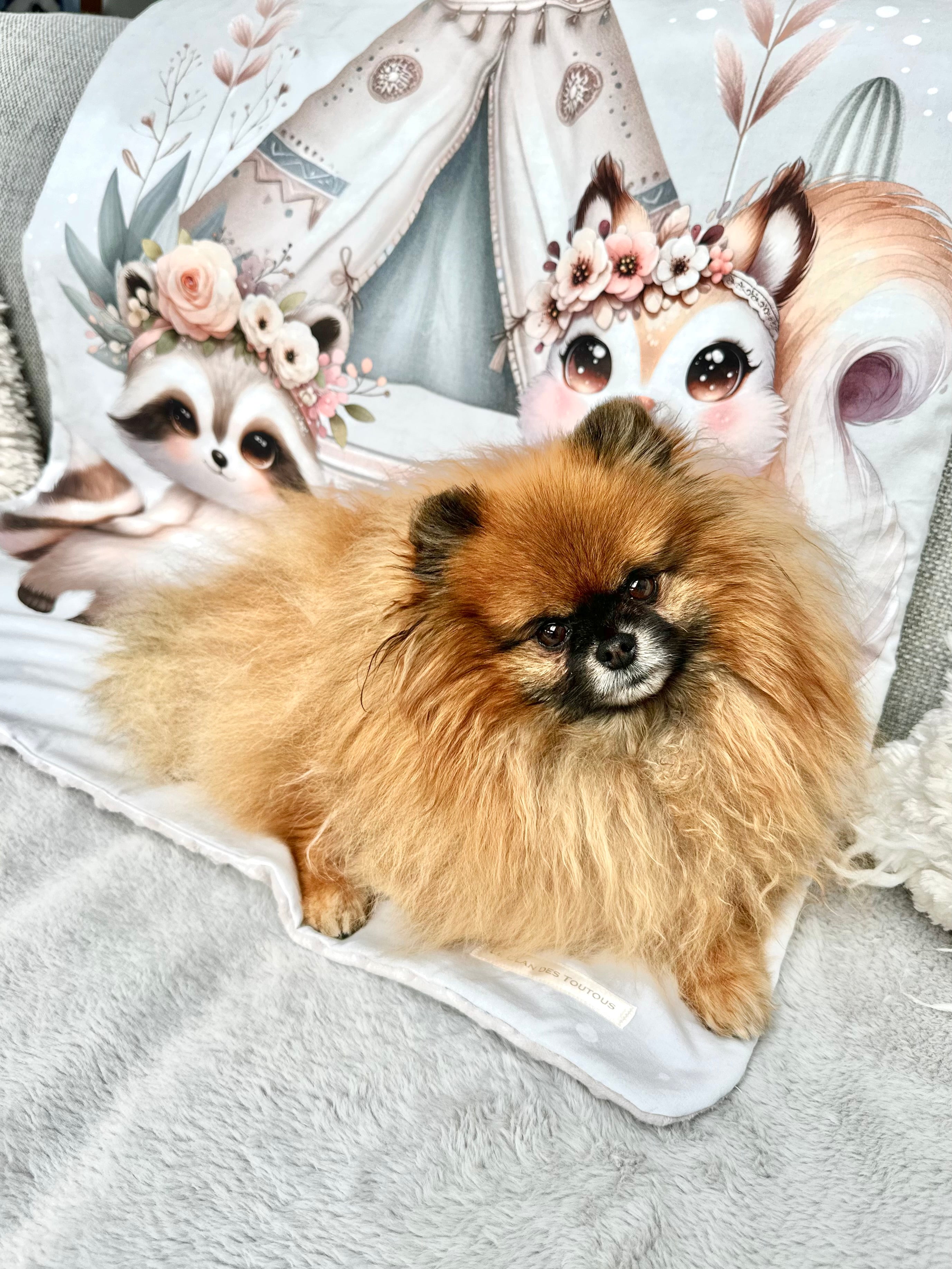 Plaid  LA TRIBU MAGIQUE - 92x70cm