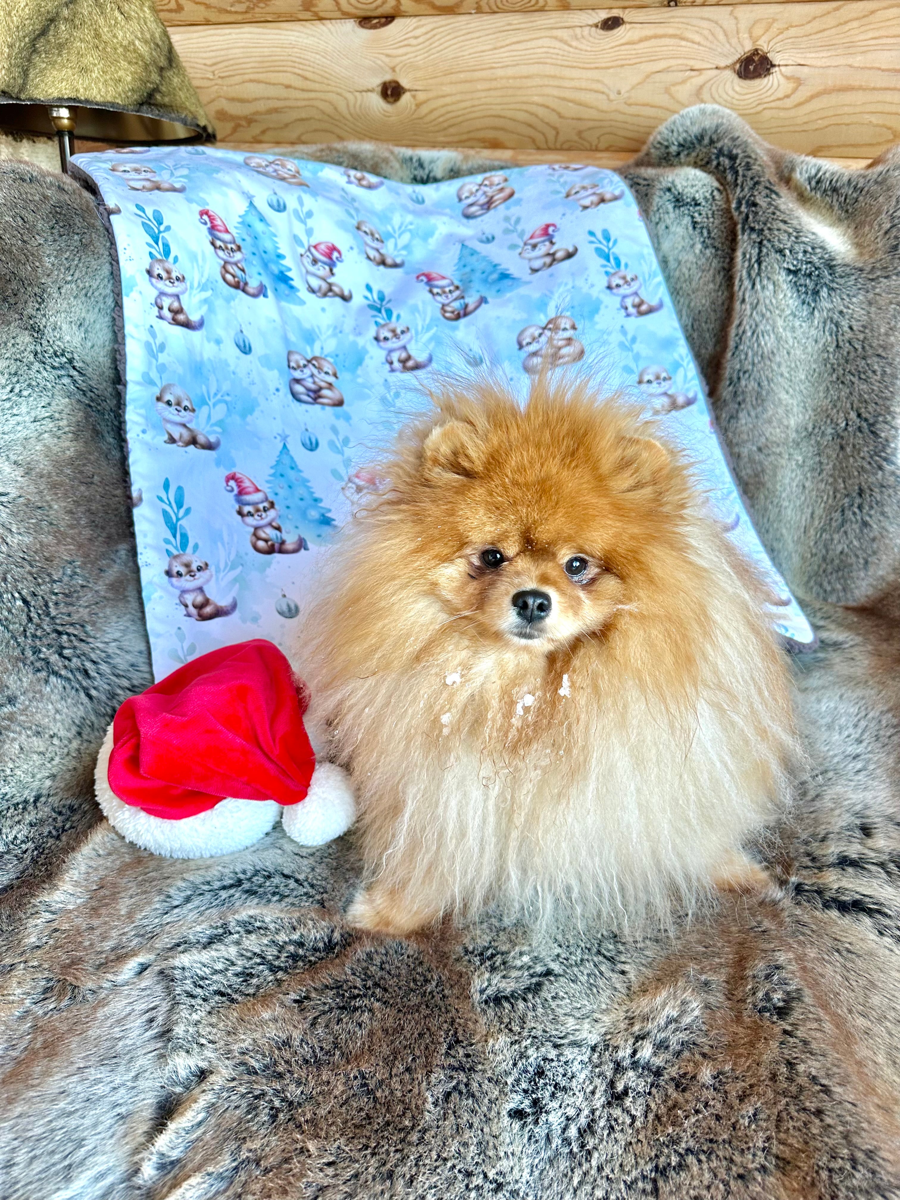 Couverture LE NOEL DES PETITES LOUTRES - 78x68cm - Cacao