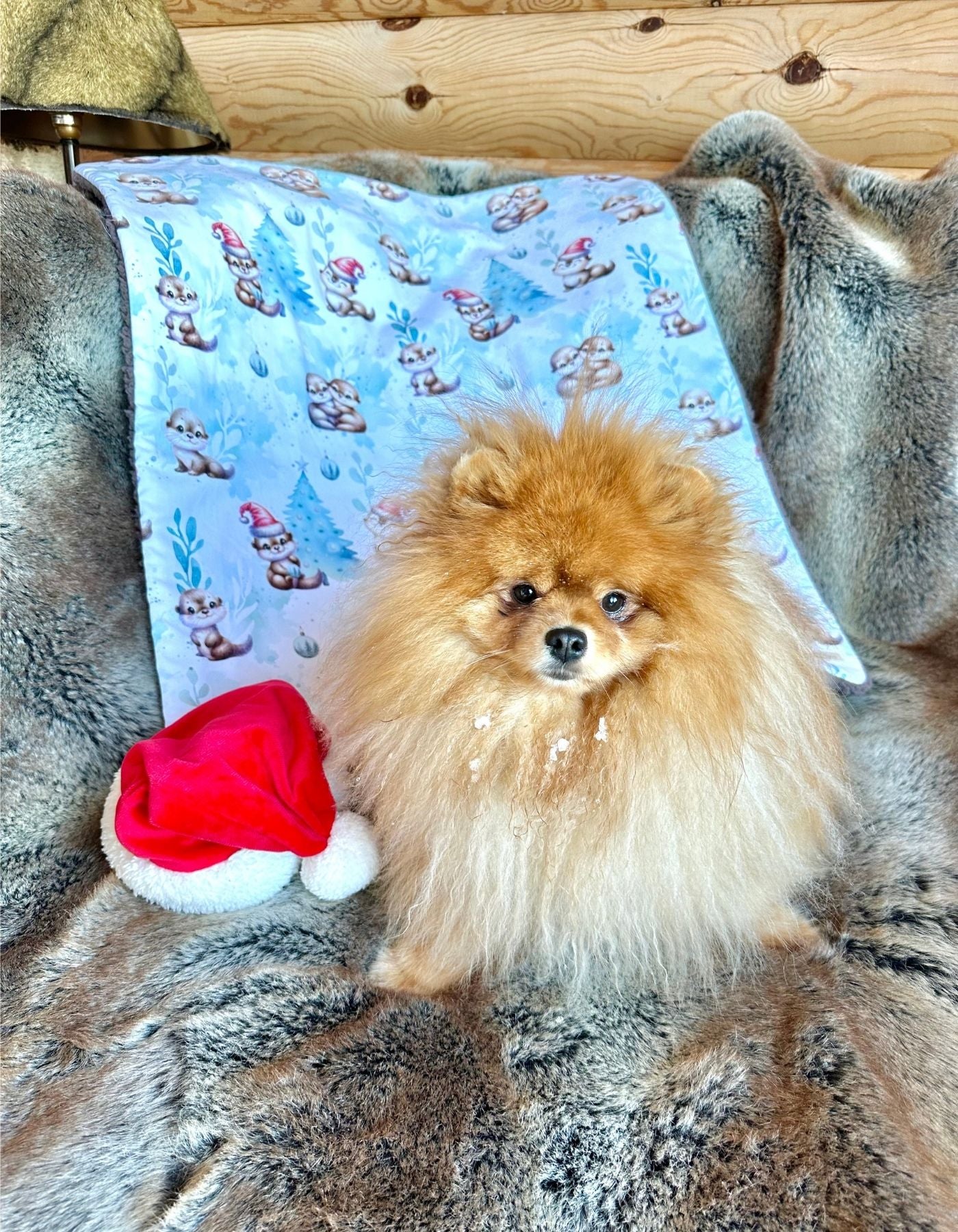 Couverture - LE NOEL DES PETITES LOUTRES - 78x68cm - Cacao