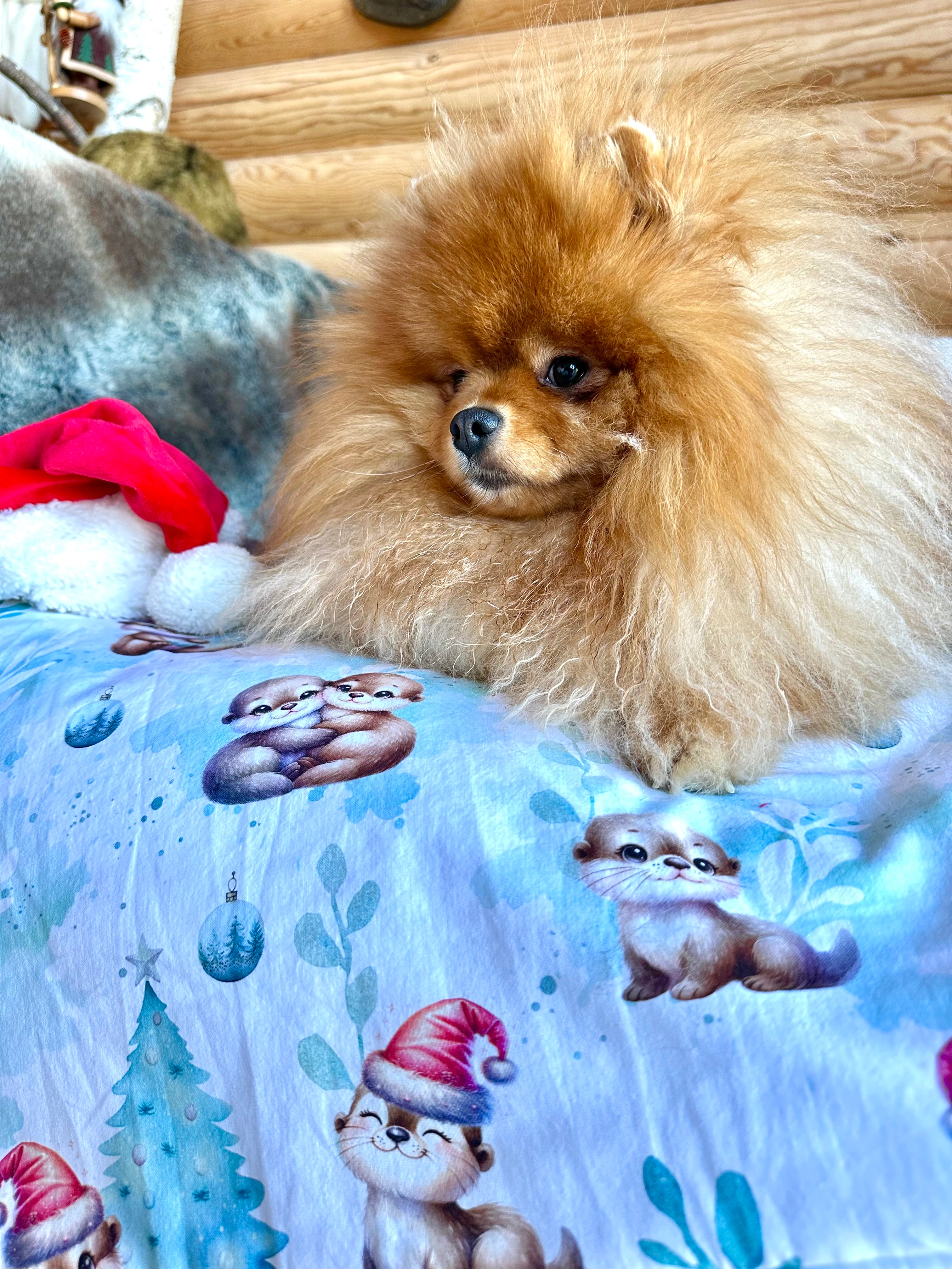 Couverture LE NOEL DES PETITES LOUTRES - 78x68cm - Cacao