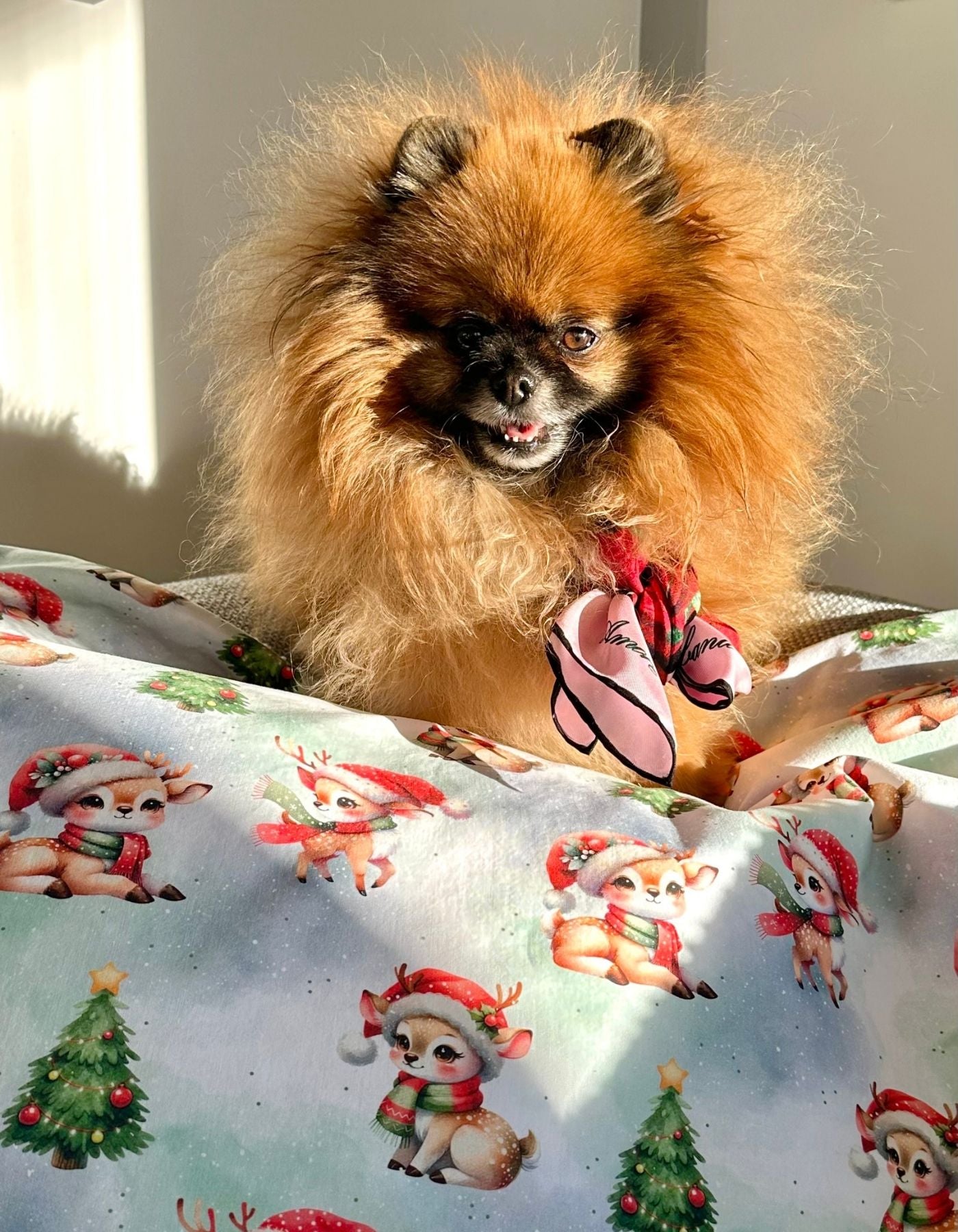 Couverture - LE NOEL DES PETITS CHEVREUILS – 78x68 cm