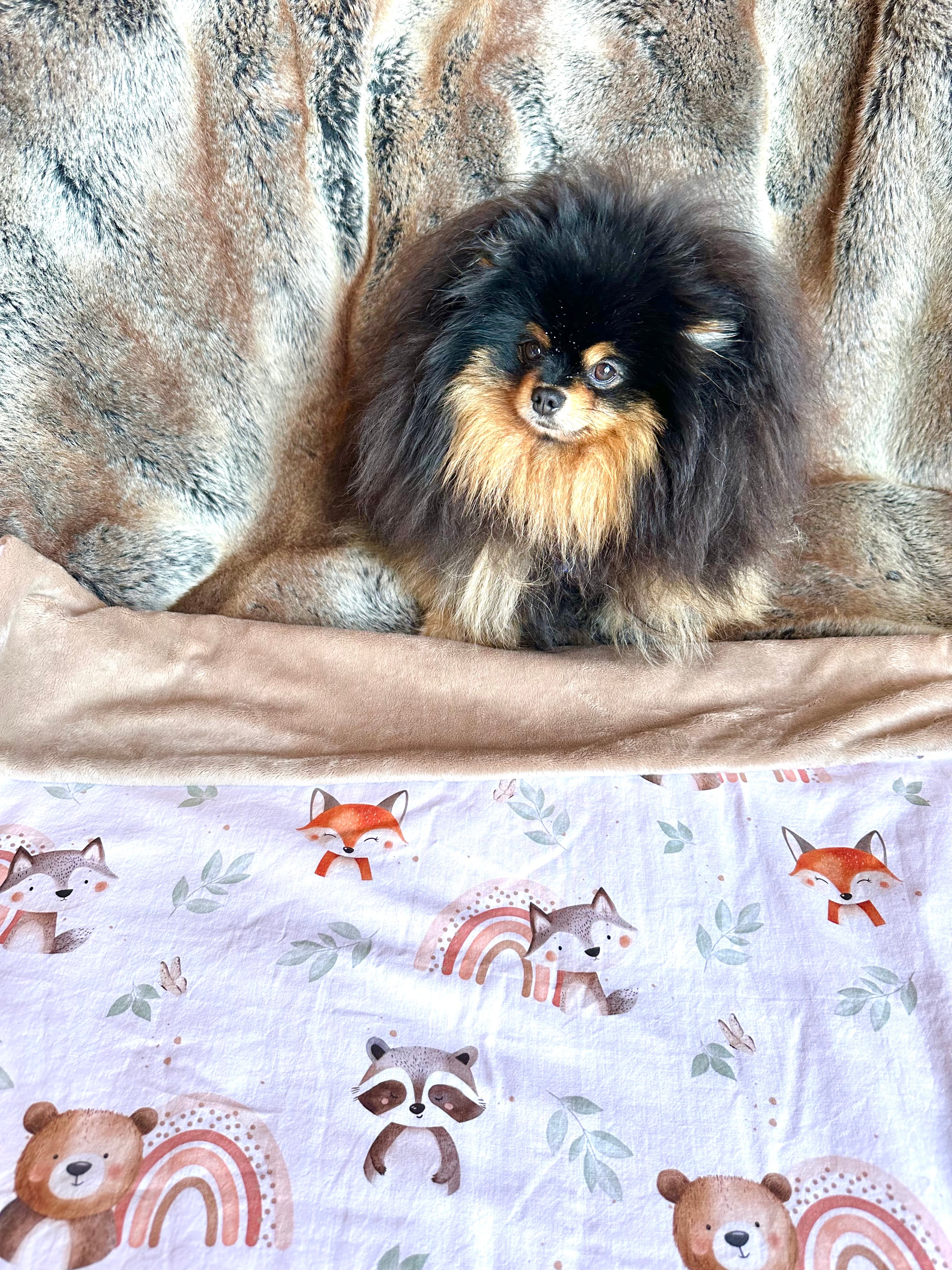 Couverture LES COPAINS DE LA FORET-80x78cm