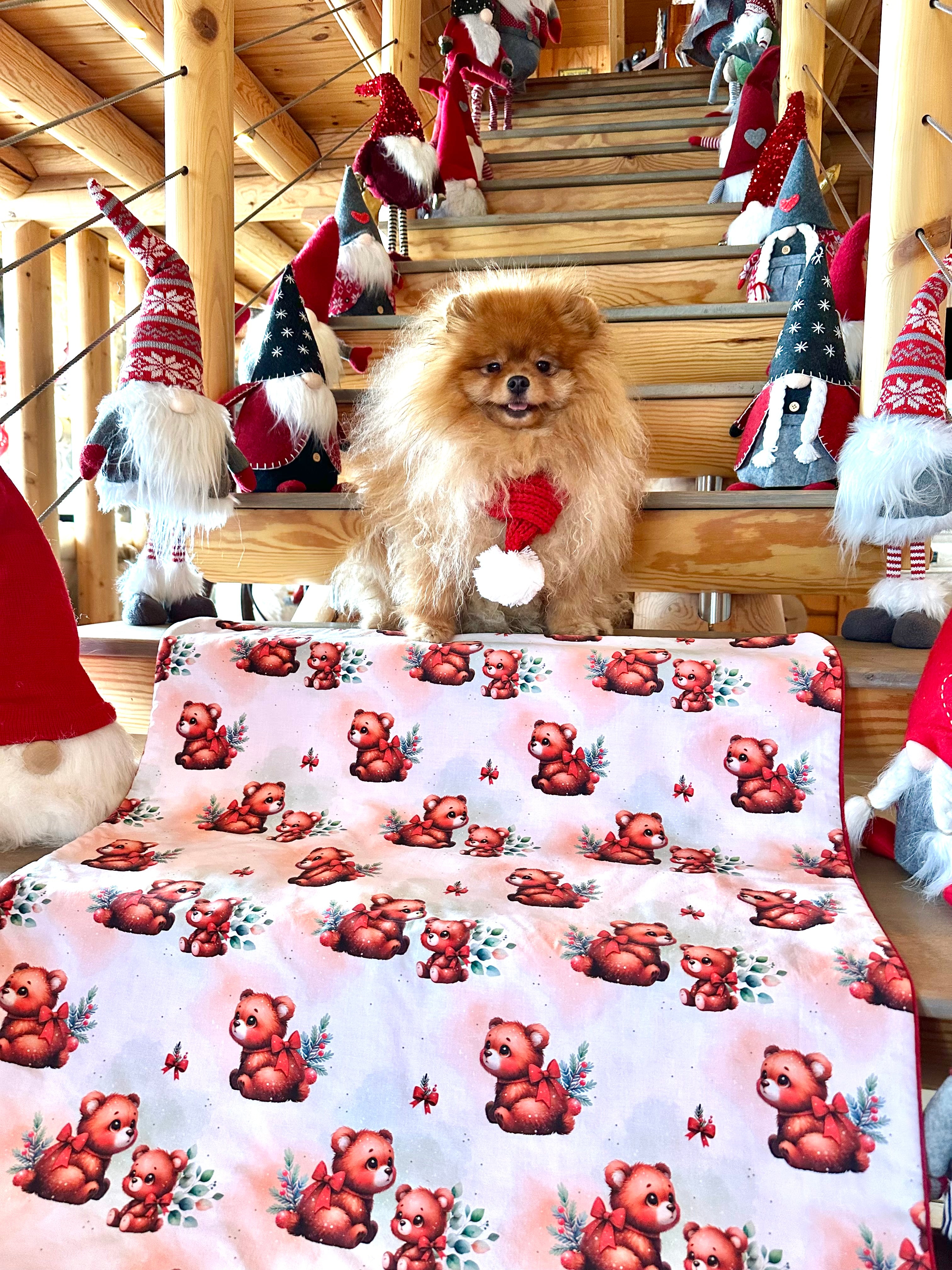 Couverture LES MIGNONS OURSONS FETENT NOEL - 82x69 cm