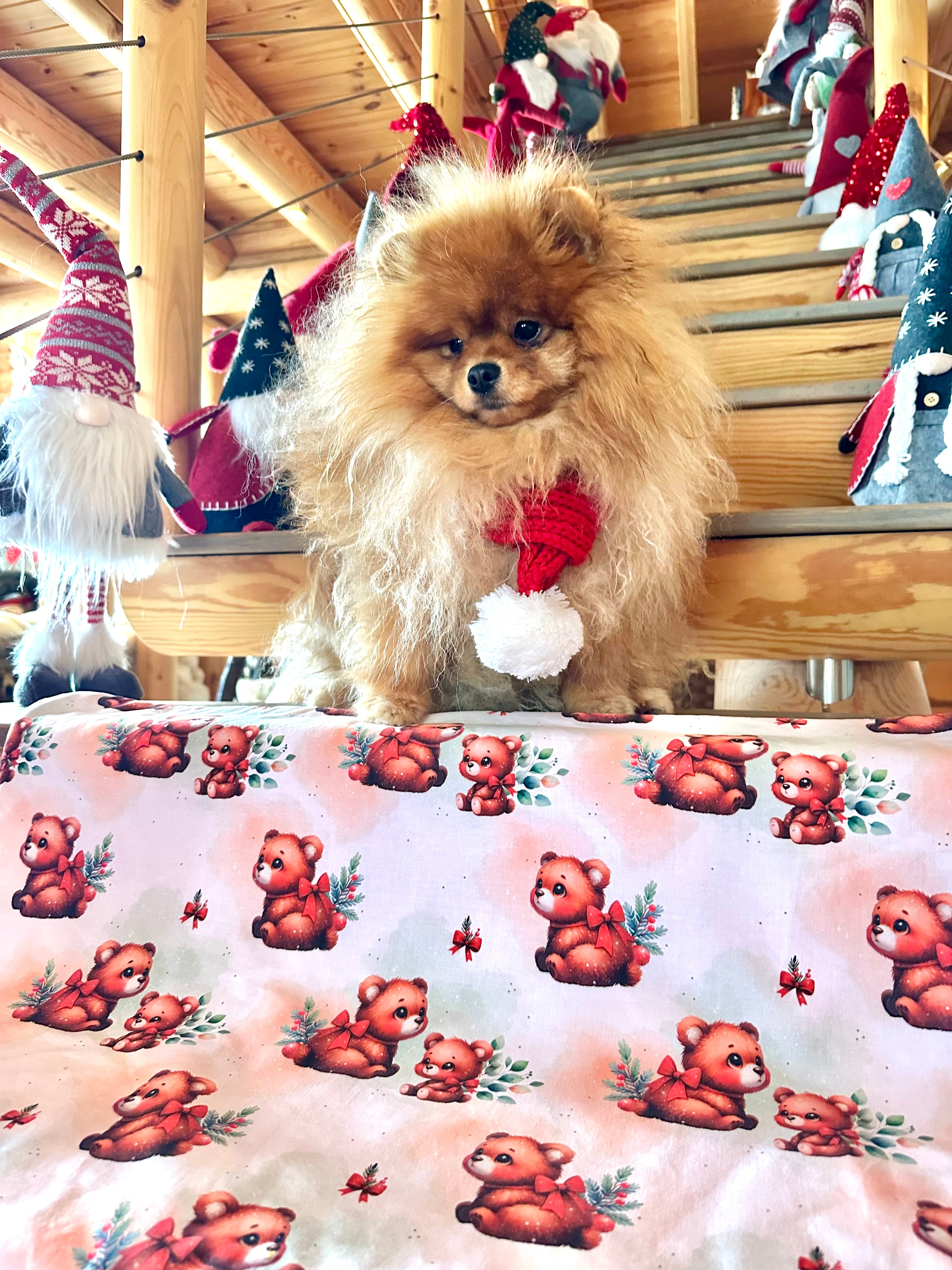 Couverture LES MIGNONS OURSONS FETENT NOEL - 82x69 cm