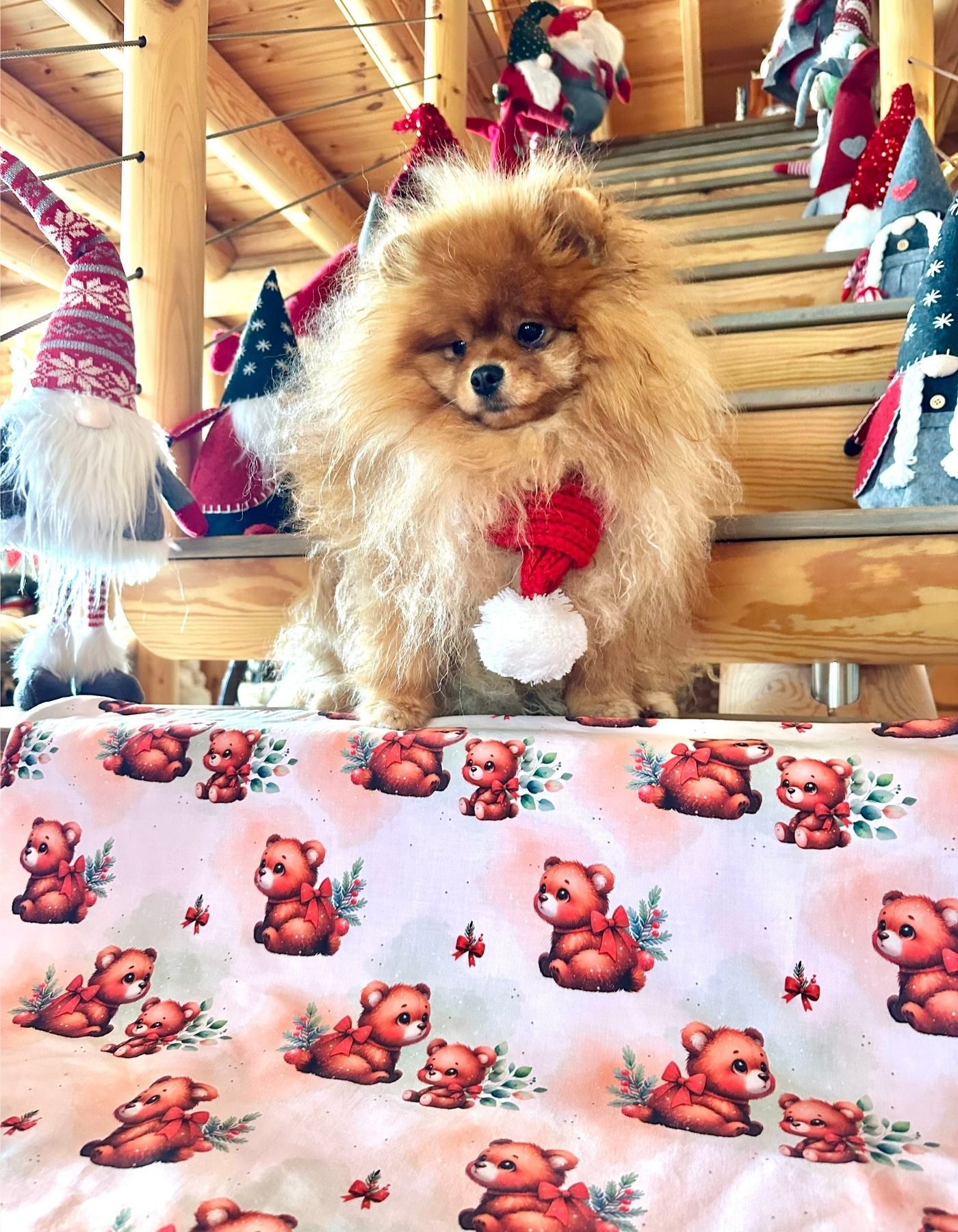 Couverture - LES MIGNONS OURSONS FETENT NOEL - 82x69 cm