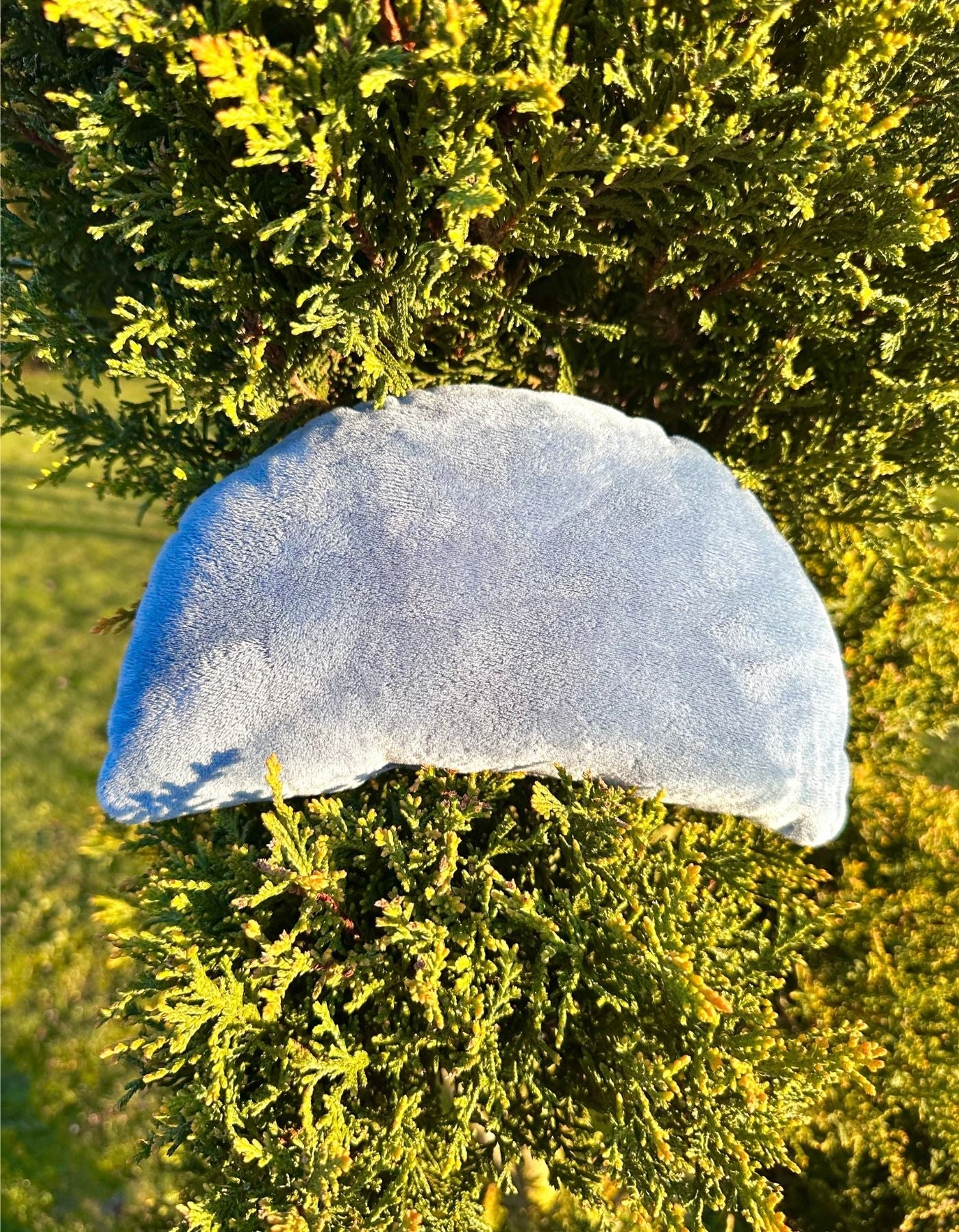 Petit coussin - LE VOYAGE DE TEDDY BEAR - 25x15cm