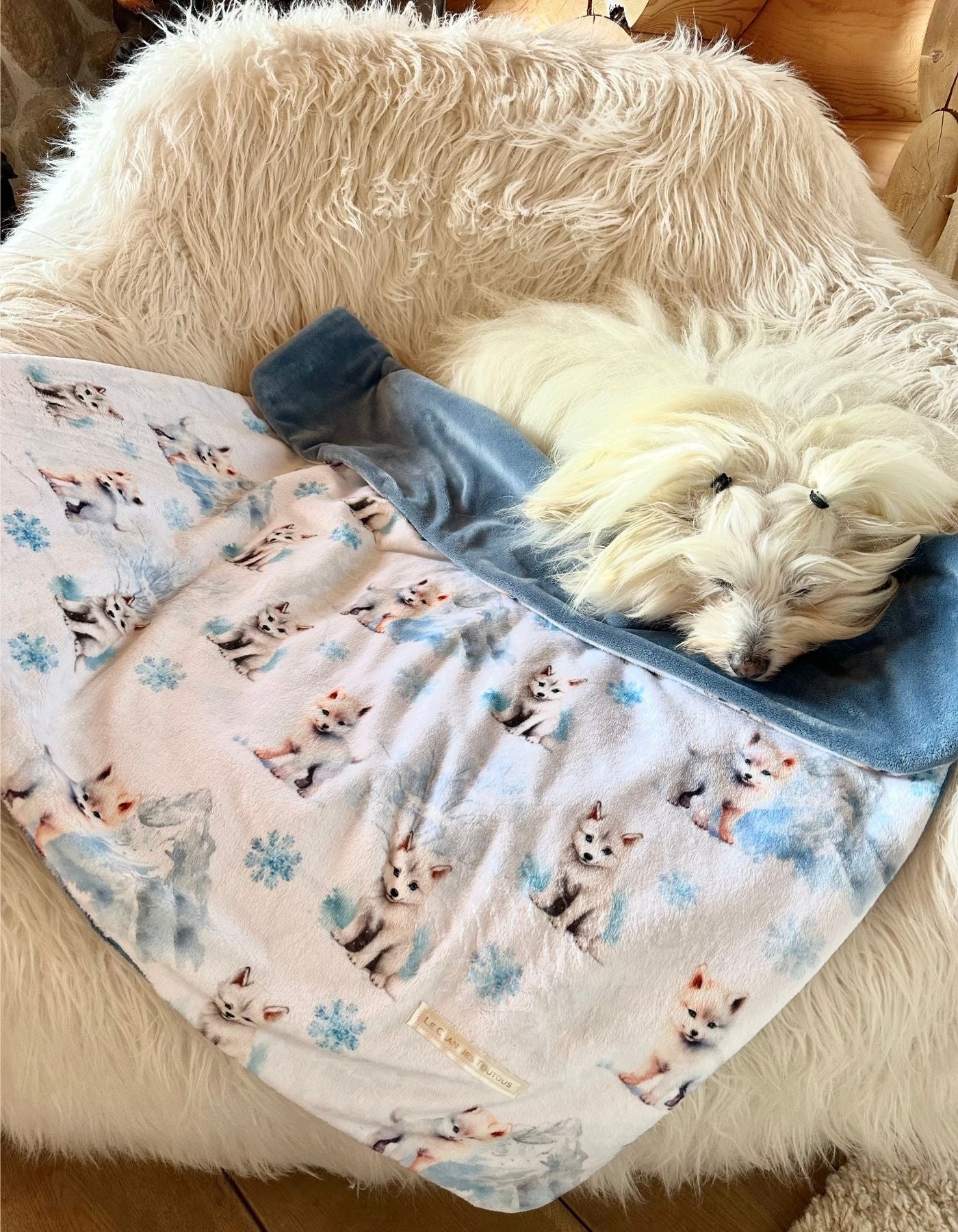 Couverture - RENARD POLAIRE ET LA MONTAGE ENNEIGEE - 78x79cm