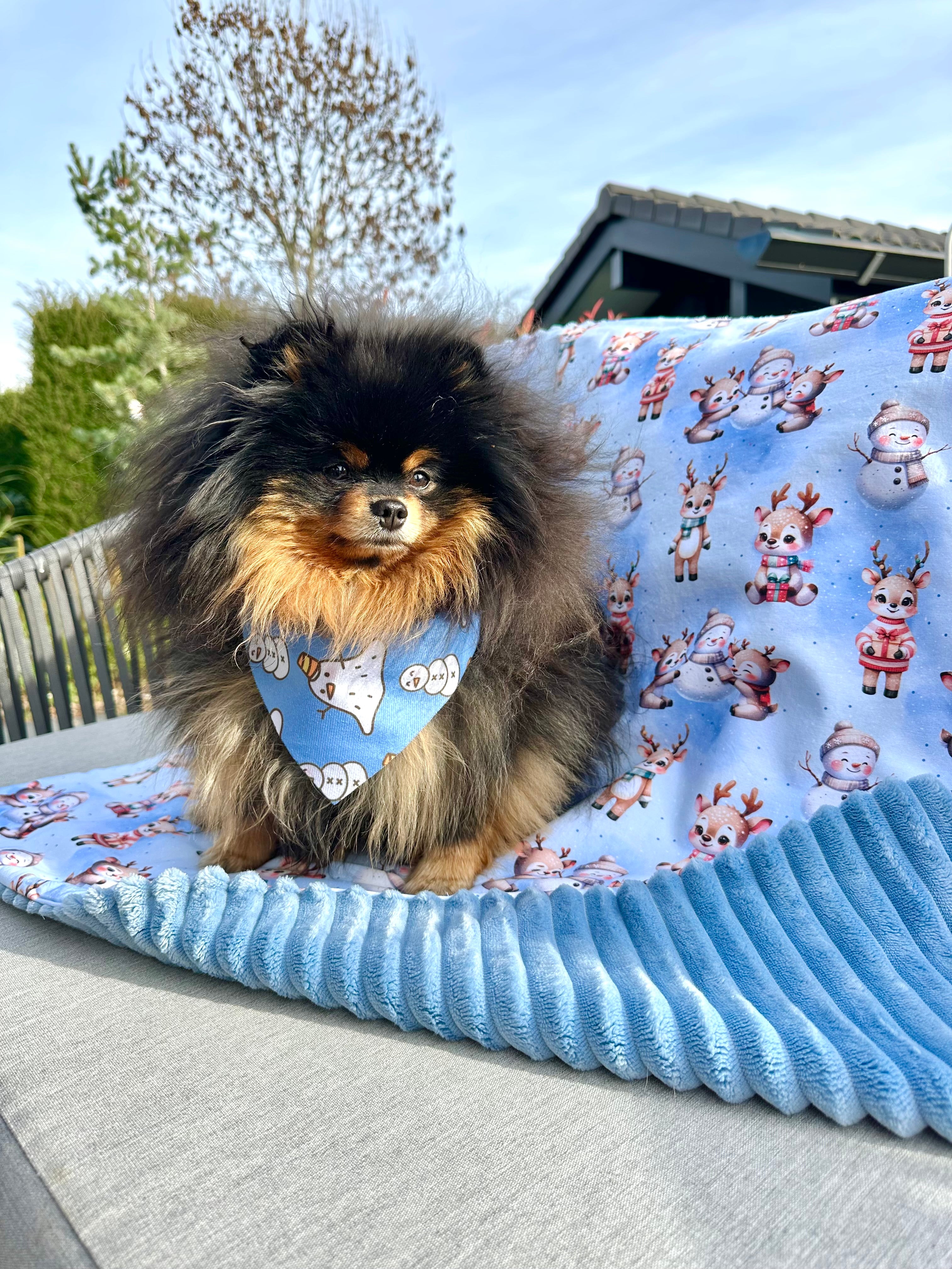 Couverture PETITS RENNES ET BONSHOMMES DE NEIGE - 80x78cm