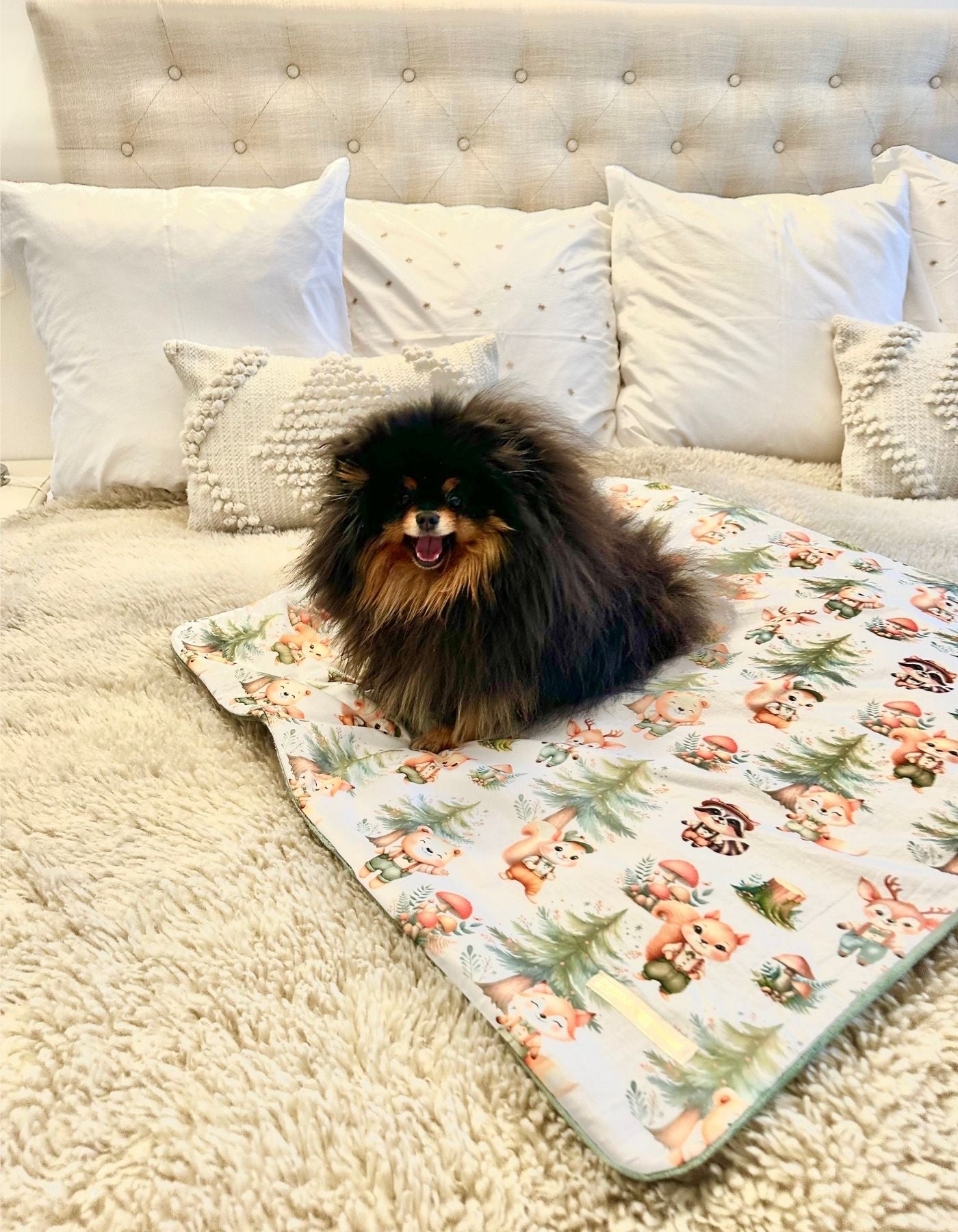 Couverture - PROMENONS-NOUS DANS LES BOIS-79x79cm