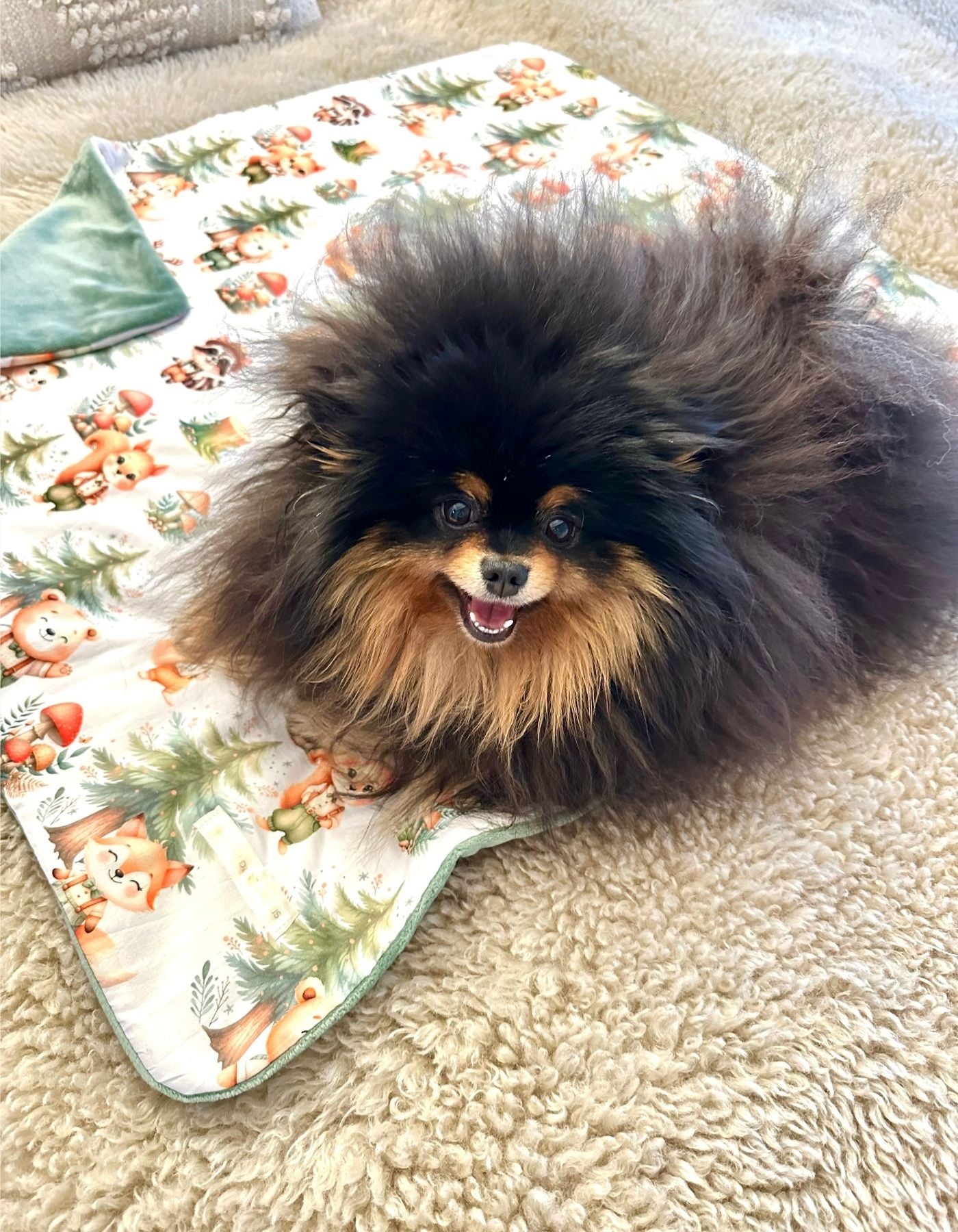 Couverture - PROMENONS-NOUS DANS LES BOIS-79x79cm