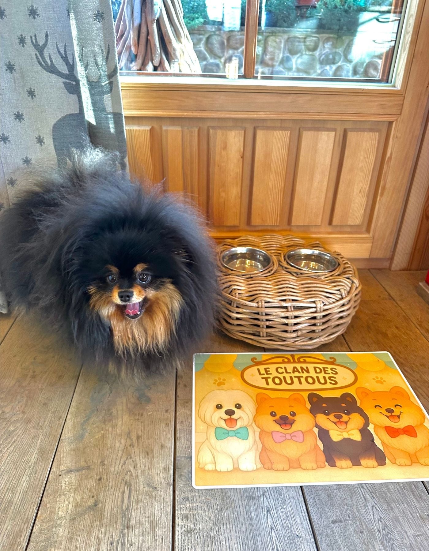 Set gamelle avec le clan des toutous