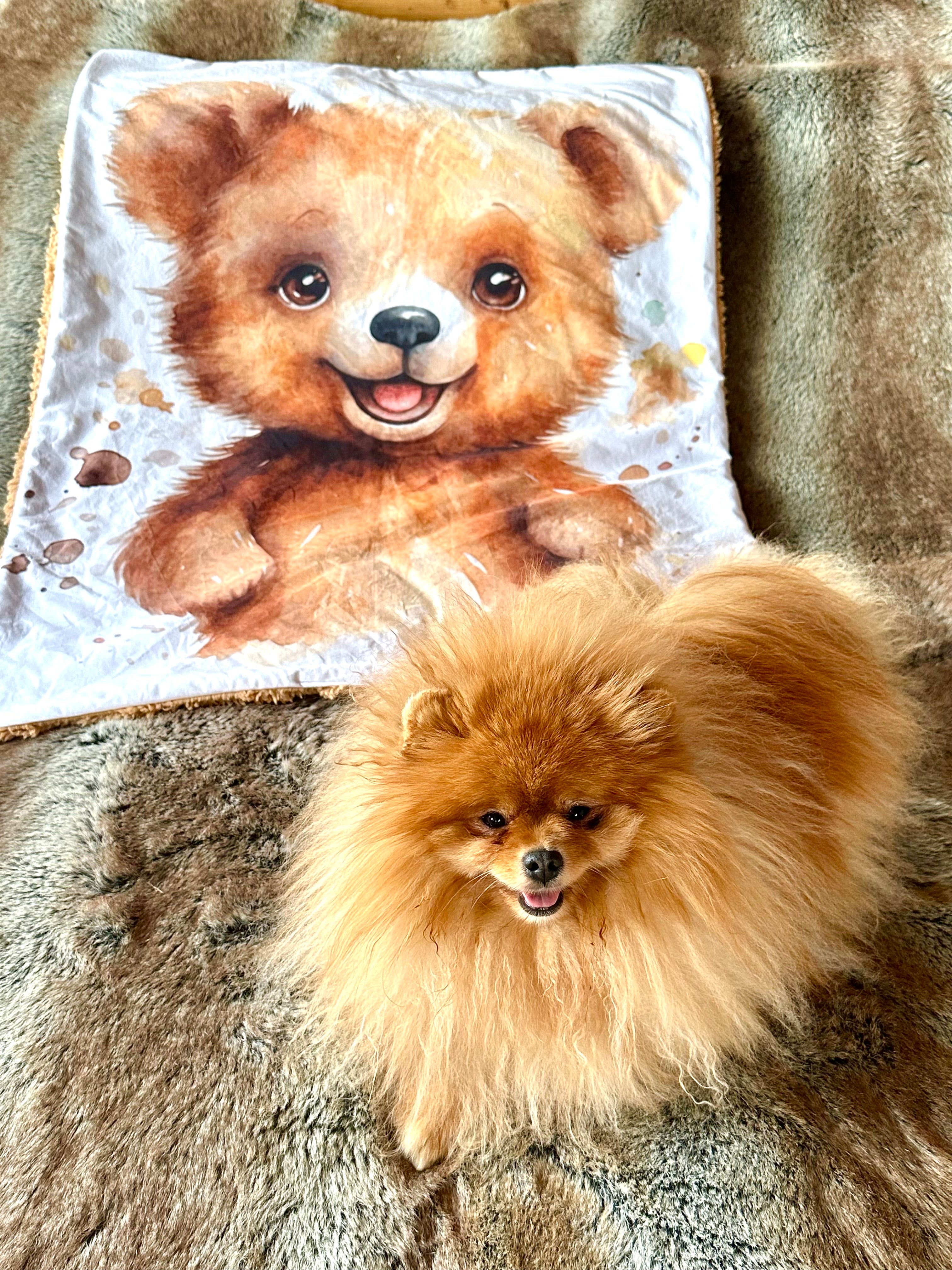 Plaid TEDDY BEAR - 94x72cm