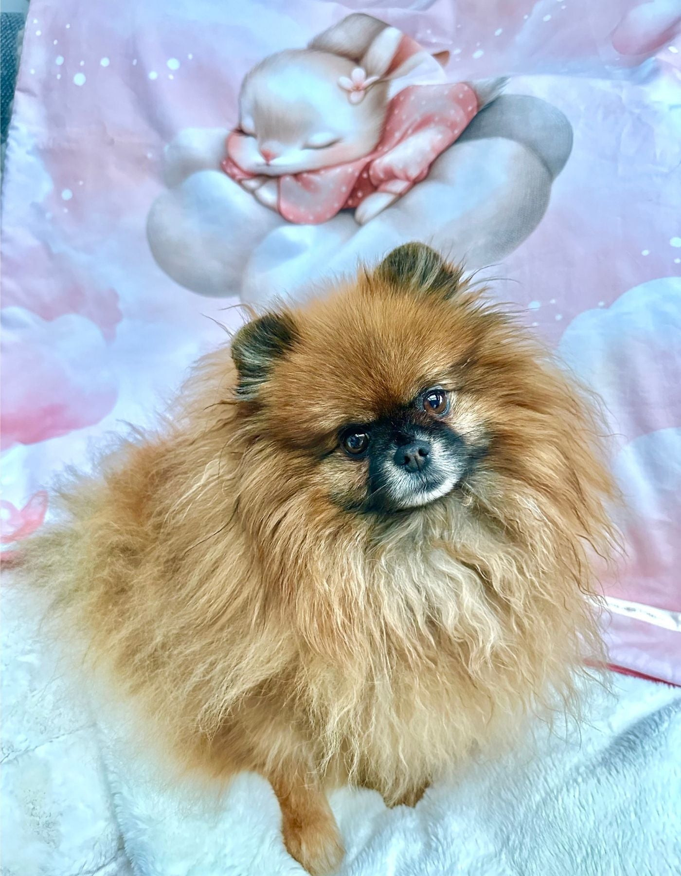 Plaid - LAPINOU TENDRE - 95x71cm