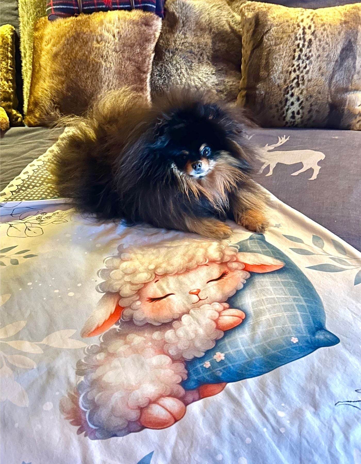 Plaid - TOUT DOUX PETIT MOUTON - 91x69cm